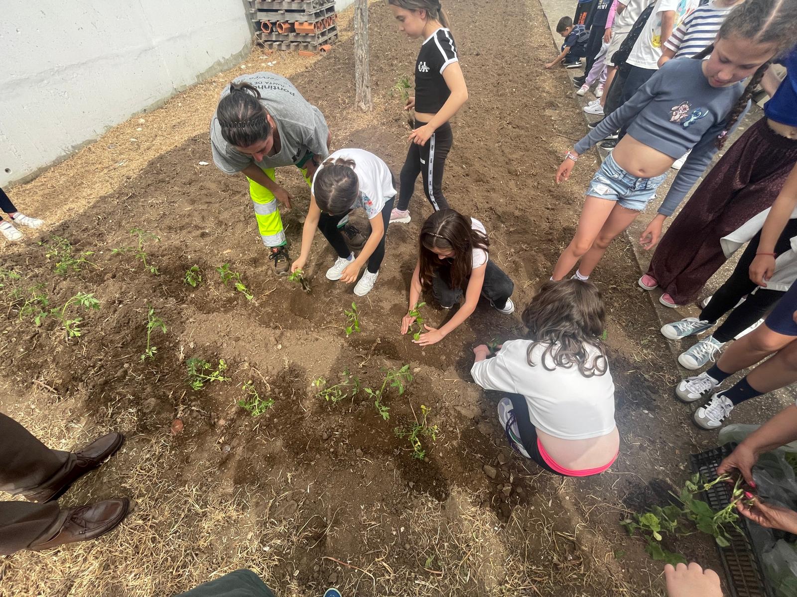 Plantação com a participação dos alunos.
