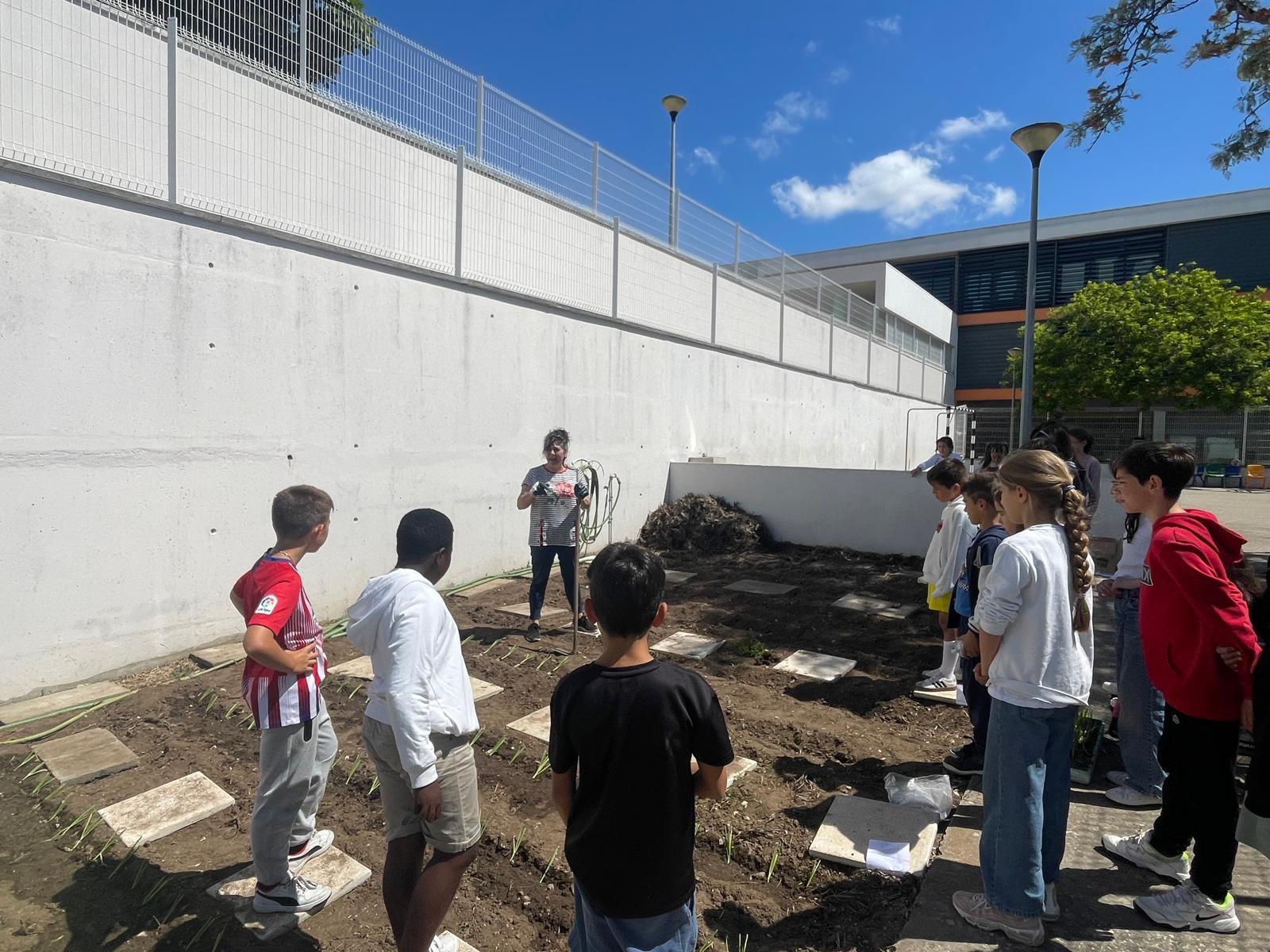 Manutenção da horta e plantação de outras plantas.