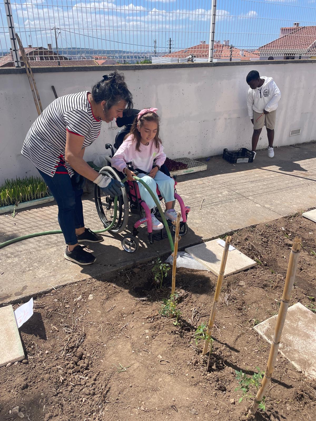 Manutenção da horta e plantação de outras plantas.