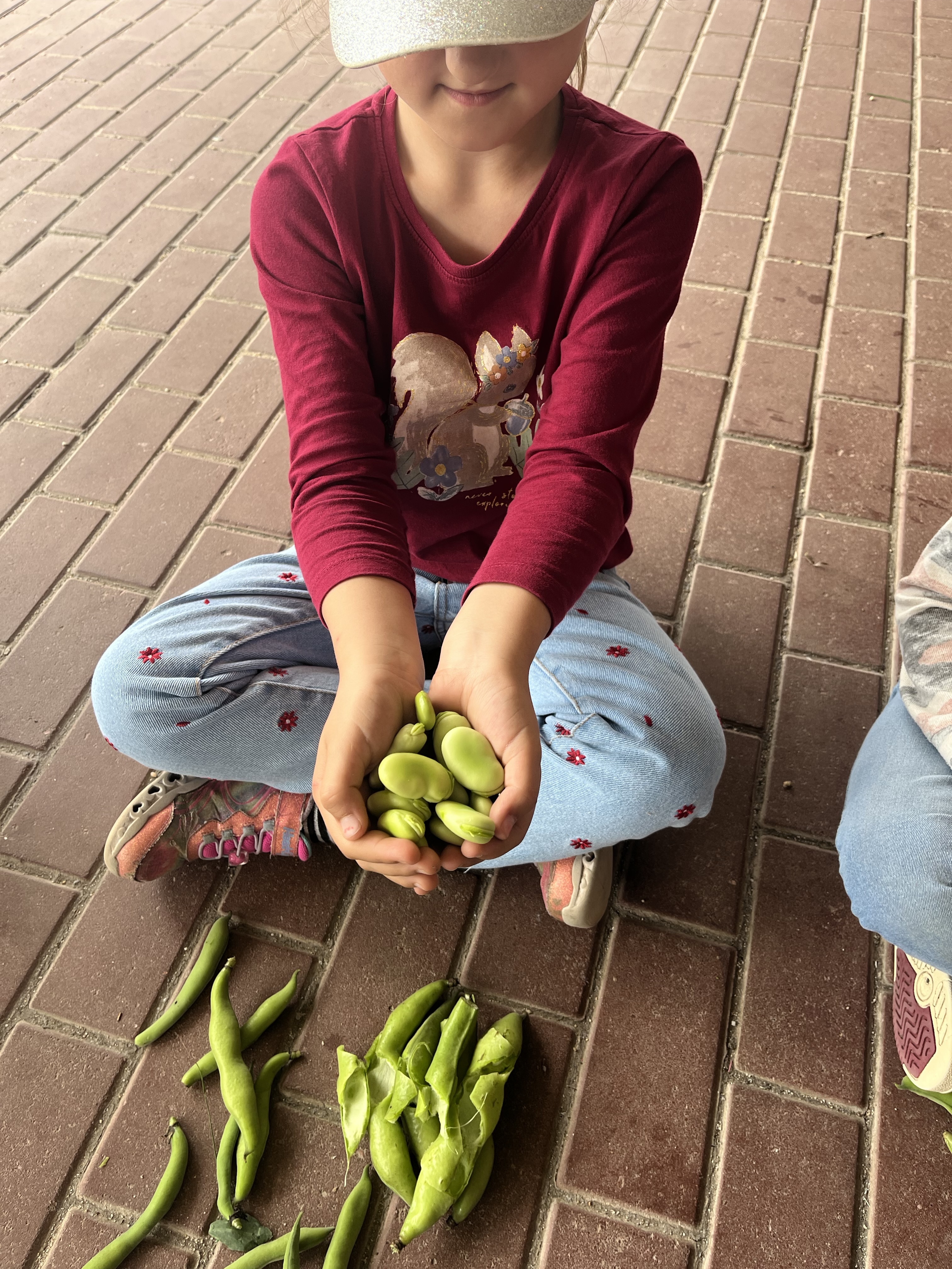 Depois das favas apanhadas