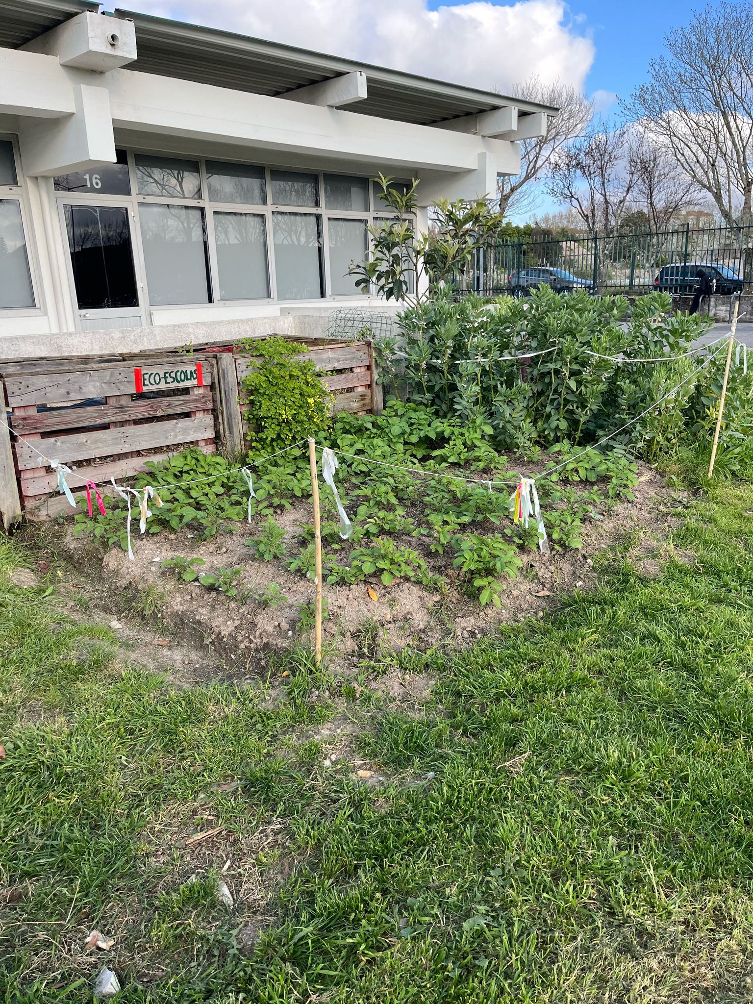 Horta em março
