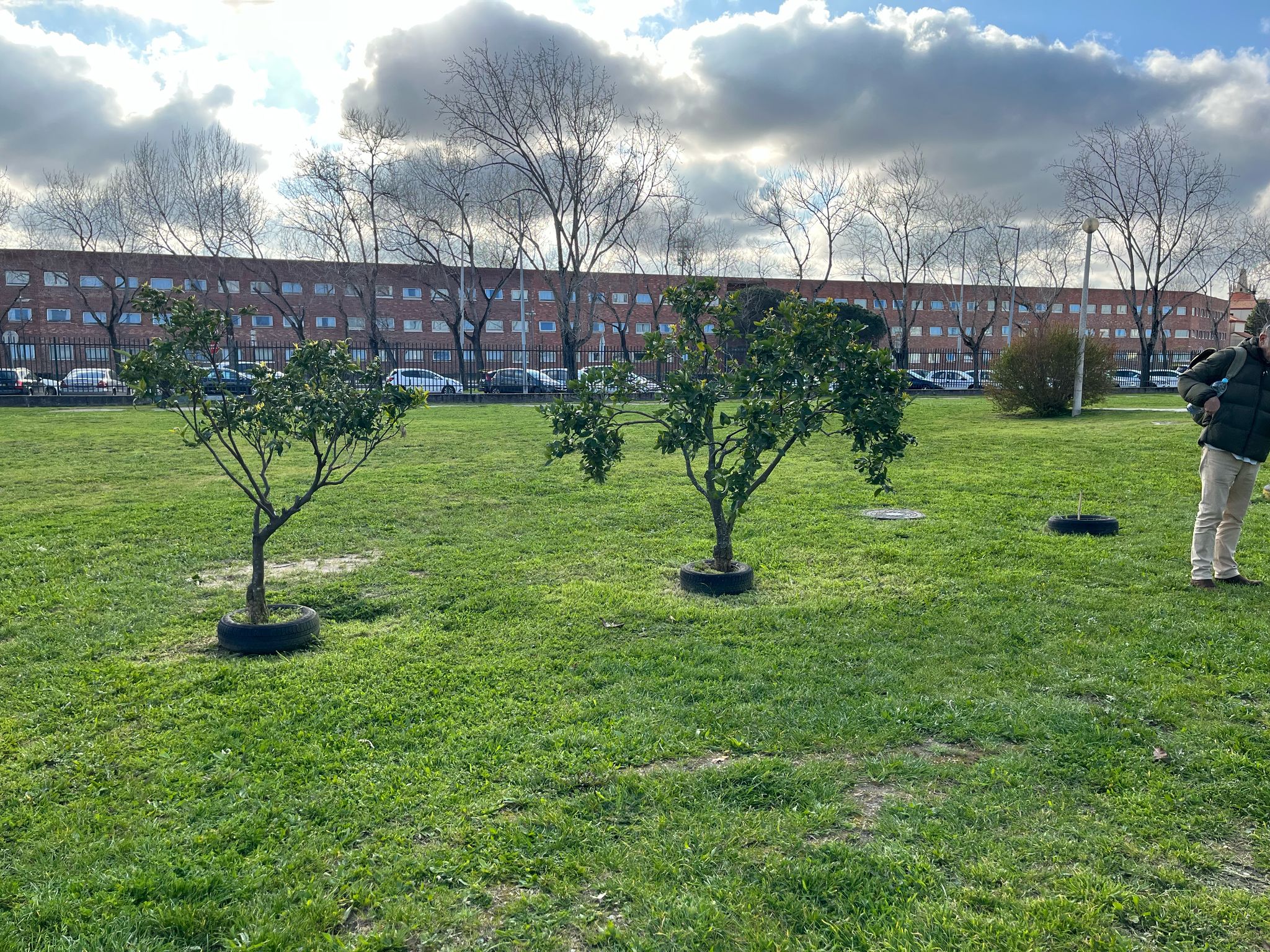 Horta em março
