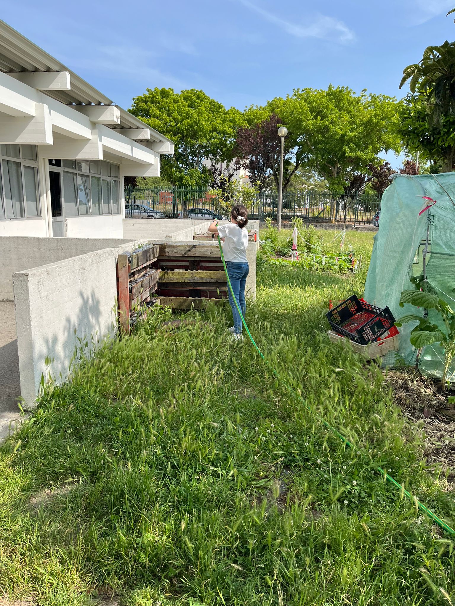 Horta em maio