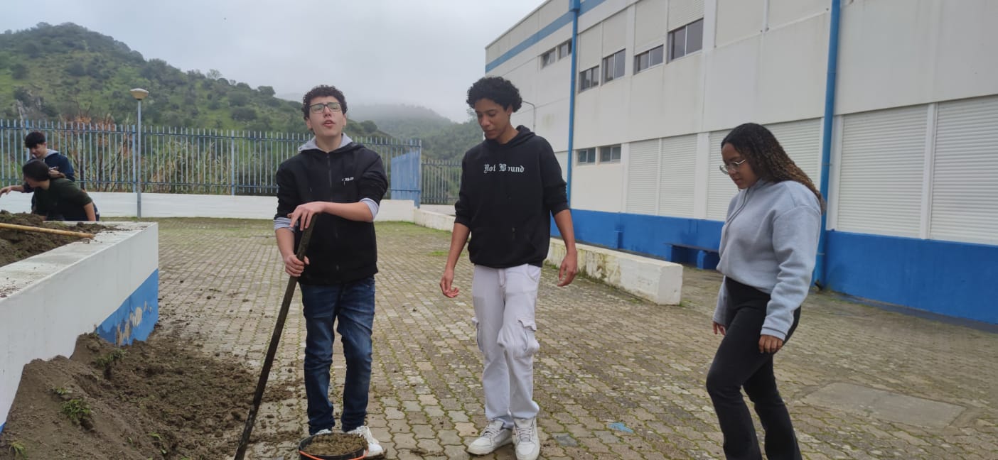 Preparação do terreno_2