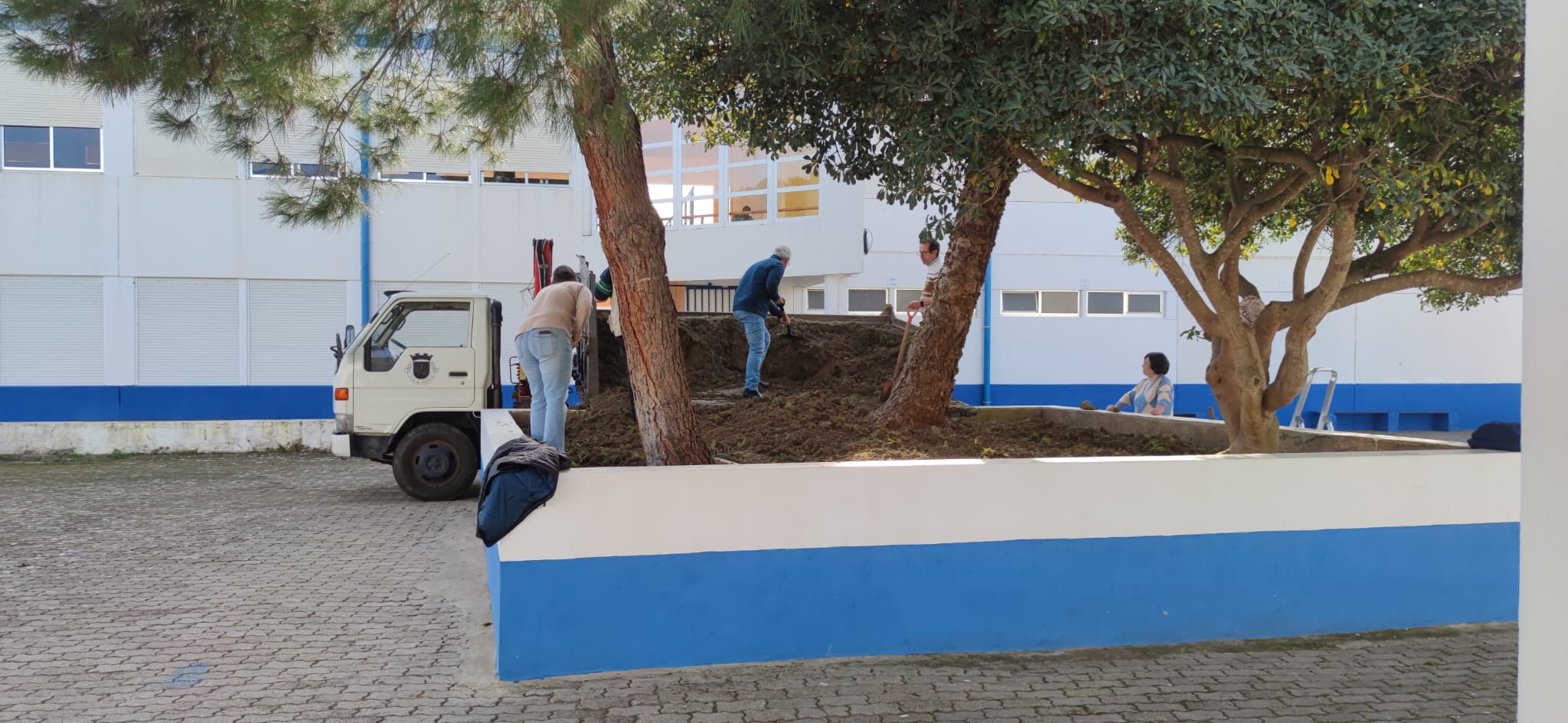 Preparação do terreno_1
