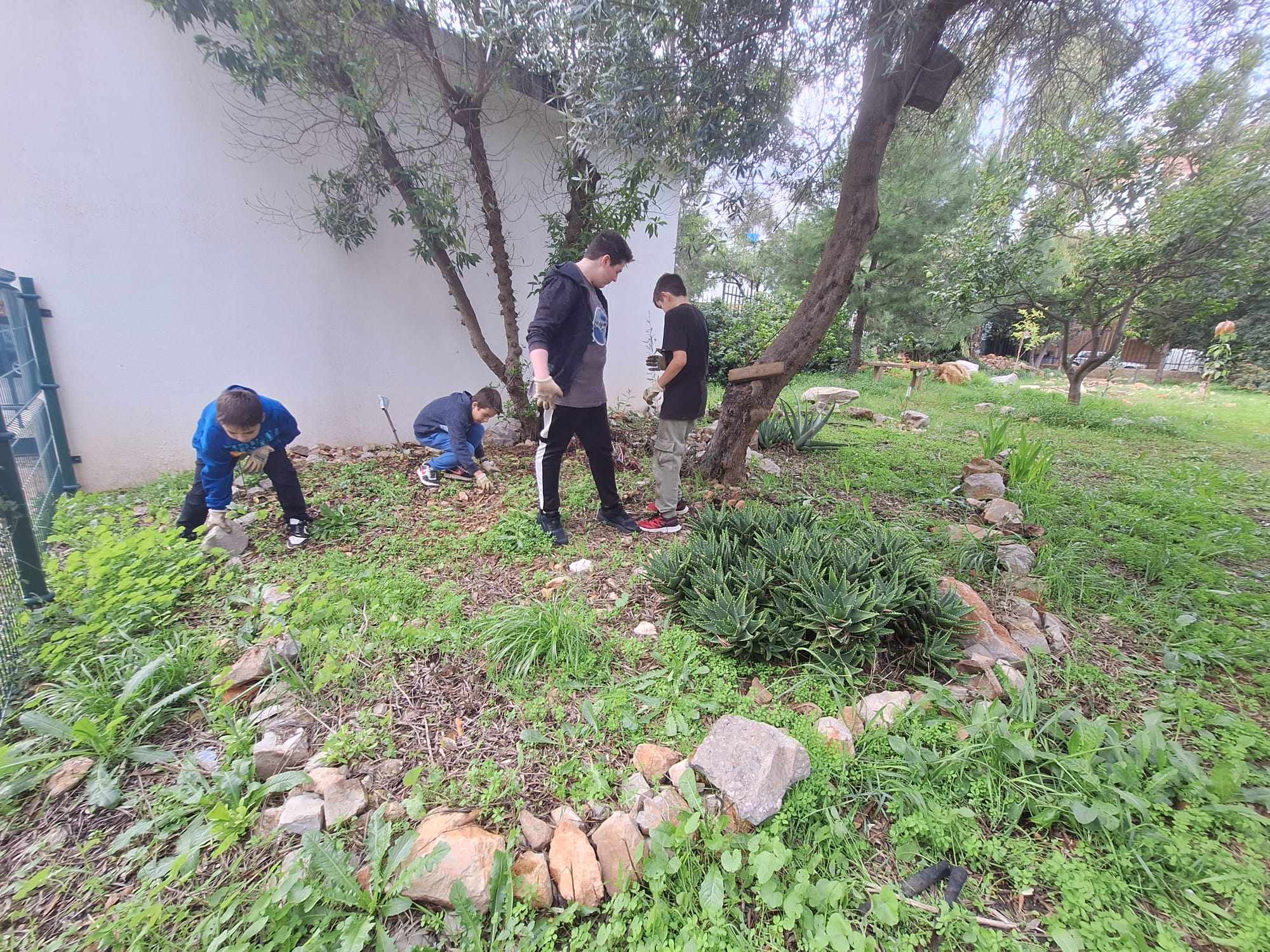 Preparação de canteiro para plantação.