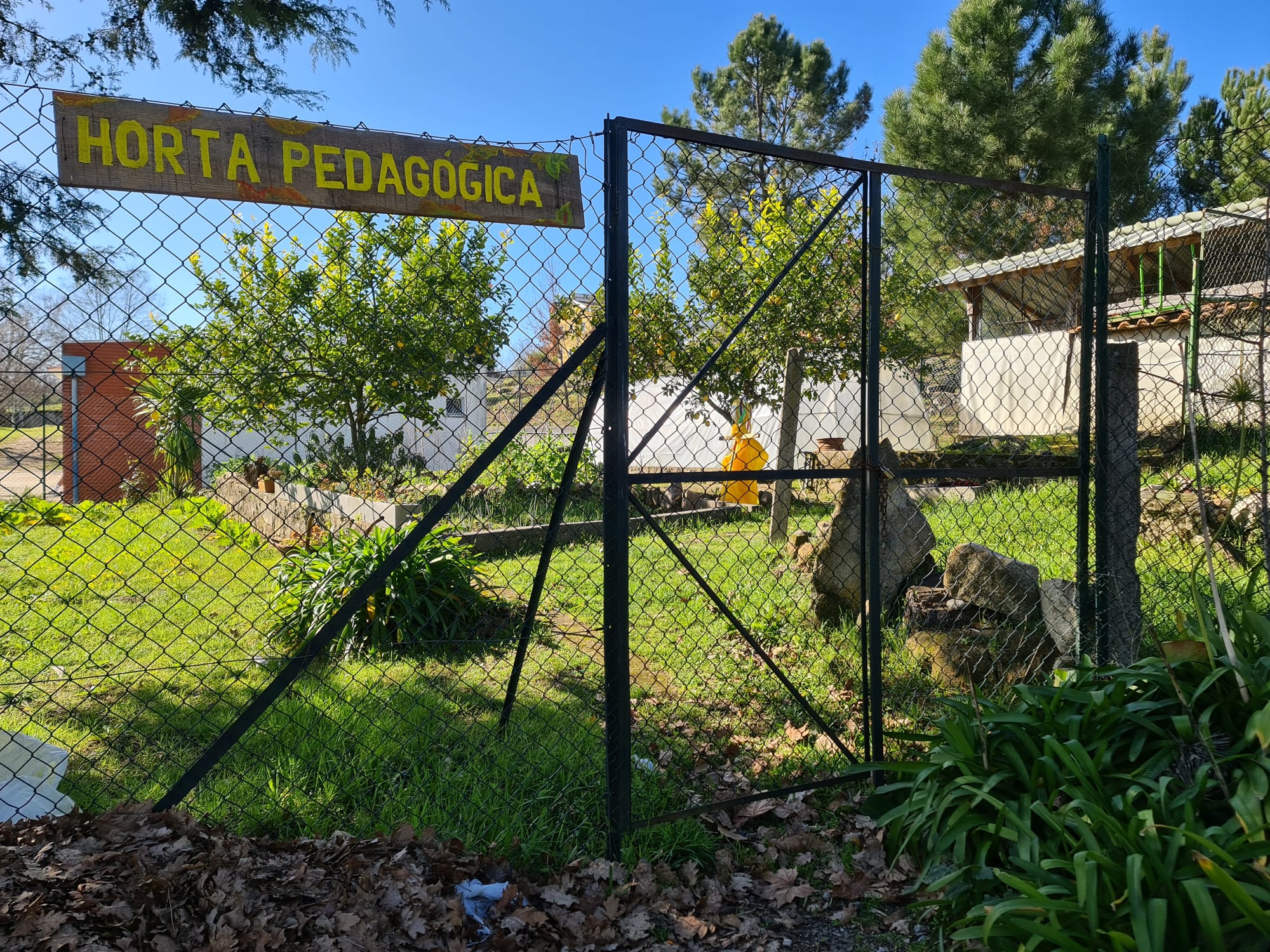 Horta Pedagógica
