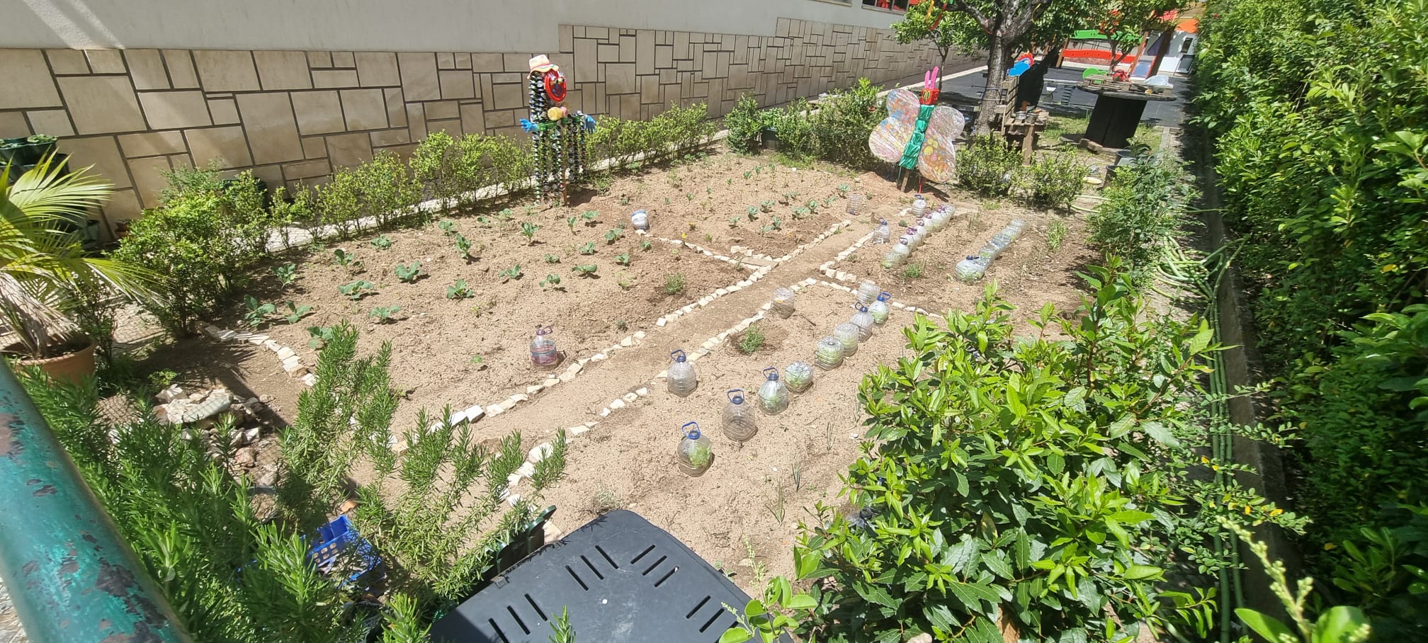 Estado atual da horta, onde é possivel ver algumas mini estufas feitas com garrafões de água para proteger as plantas jovens dos pássaros e outros animais assim como ajudar no seu crescimento.