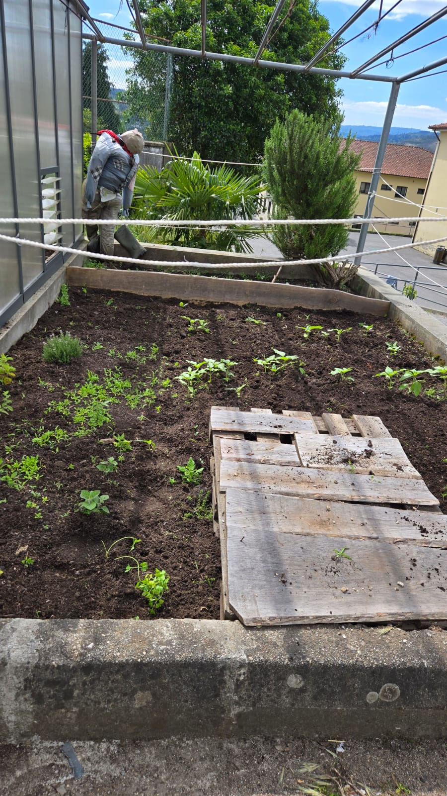 As plantações no exterior