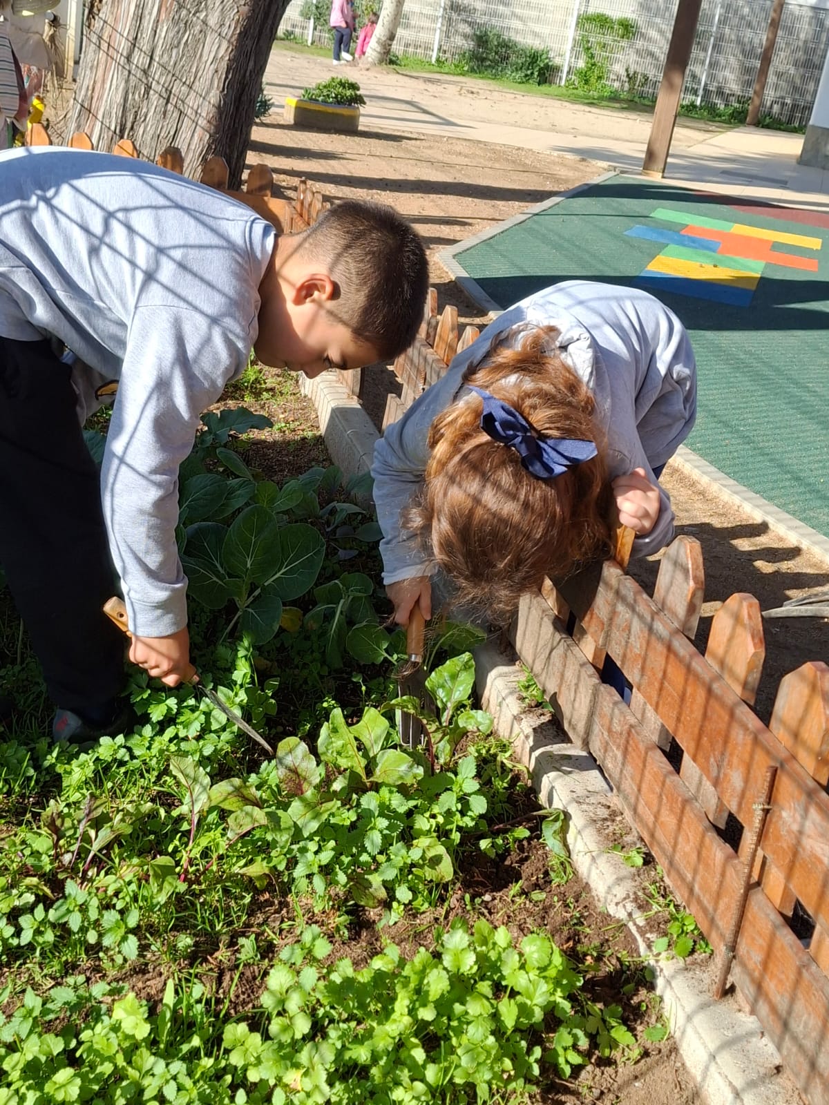 Foi preciso tirar todas as ervas daninhas e algumas plantas que se encontravam plantadas ainda do ano anterior (aproveitámos algumas para replantar)...
