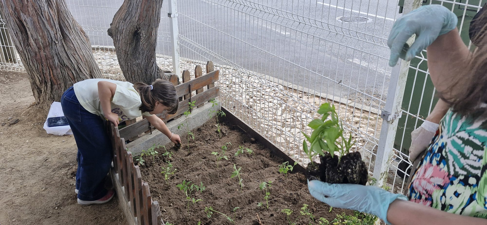 E replantá-mos...