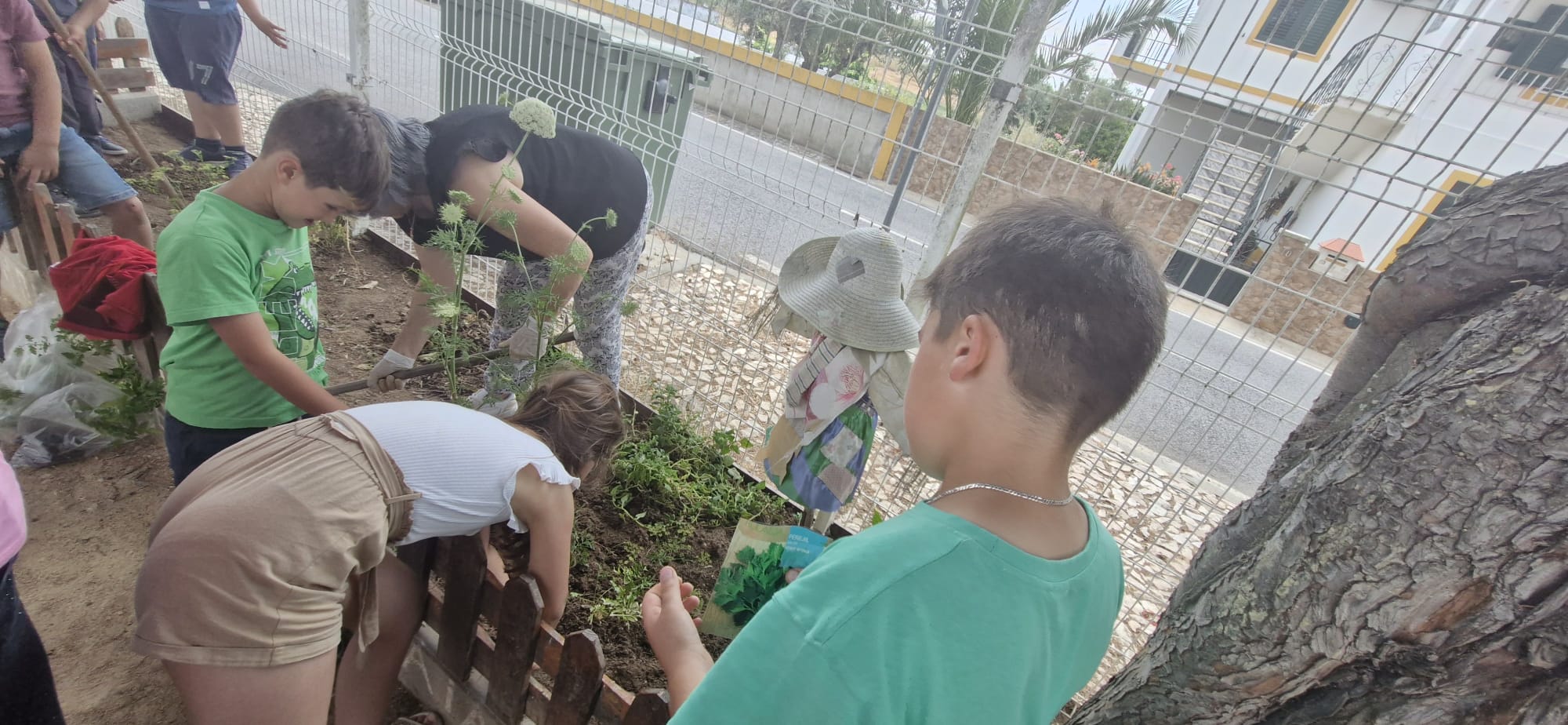 A nossa horta, devido à chuva, estava muito "maltratada"... aquilo que semeámos e plantámos... quase não cresceu...