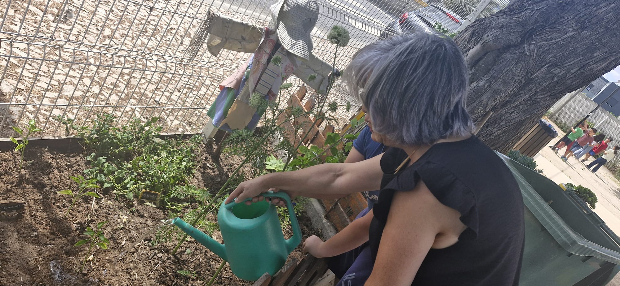 E muito importante... a rega das plantas não é esquecida! Às vezes, os avós vem ajudar...
