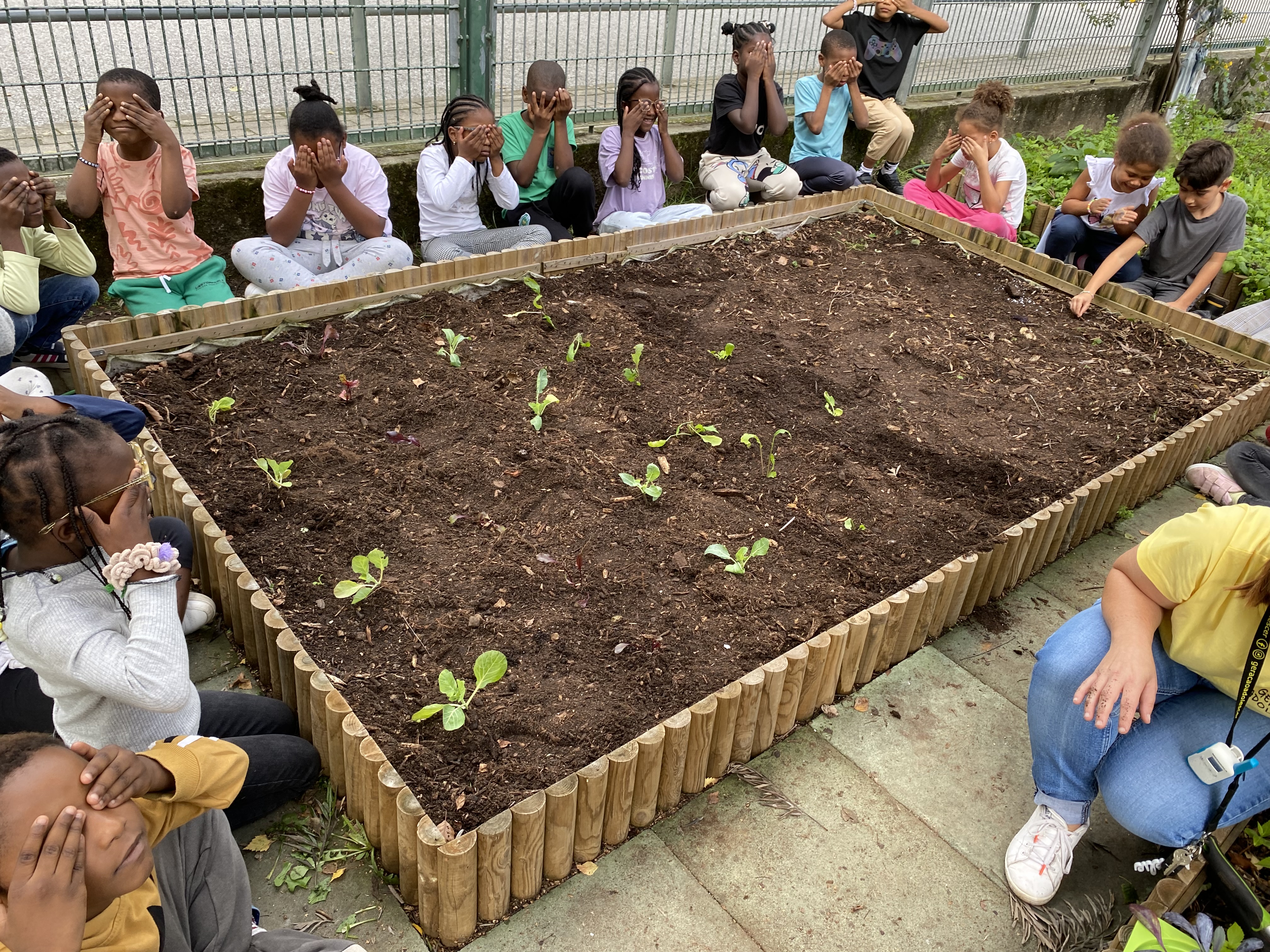 Plantação