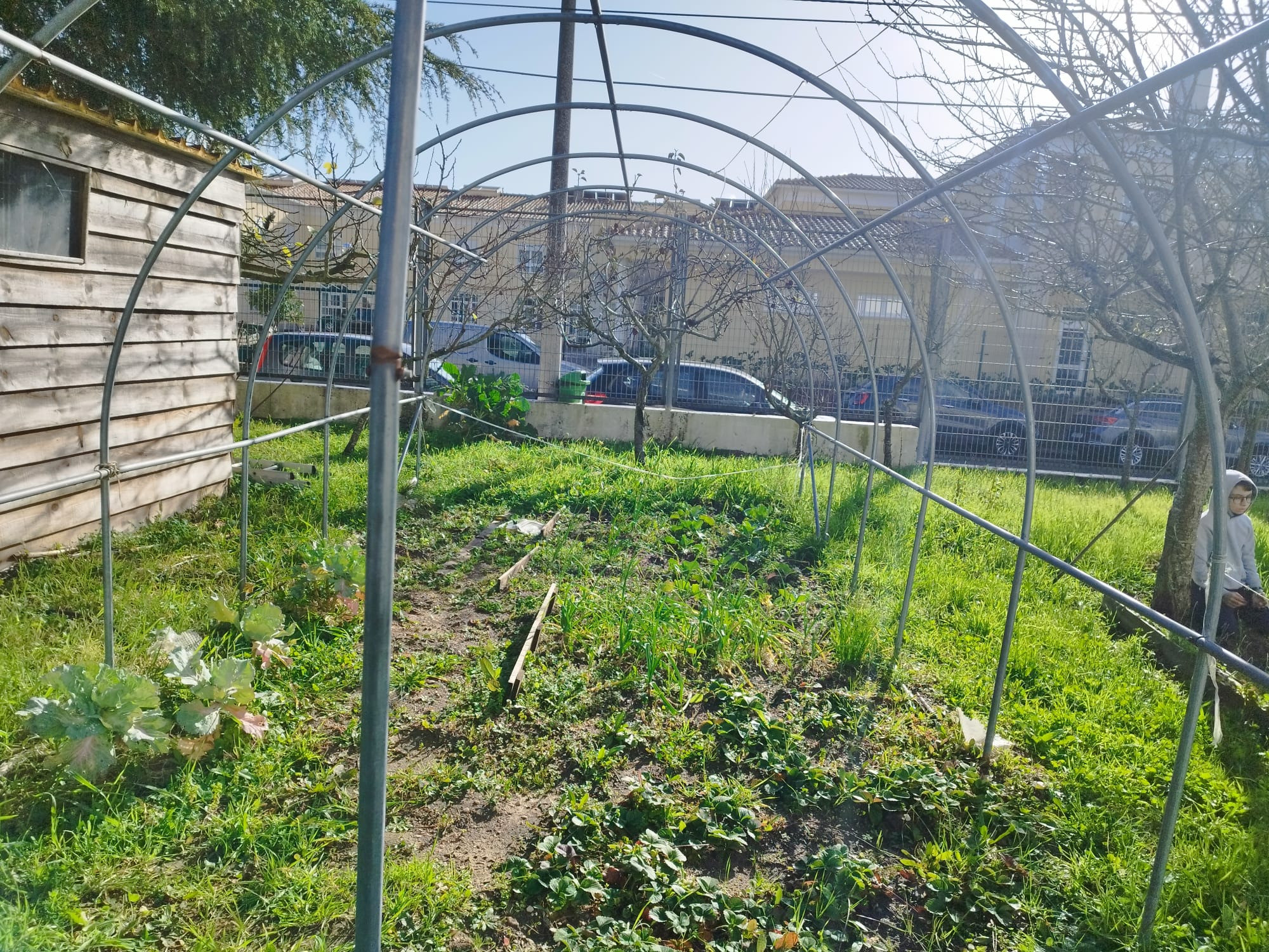 Zona cultivada (antiga estufa)