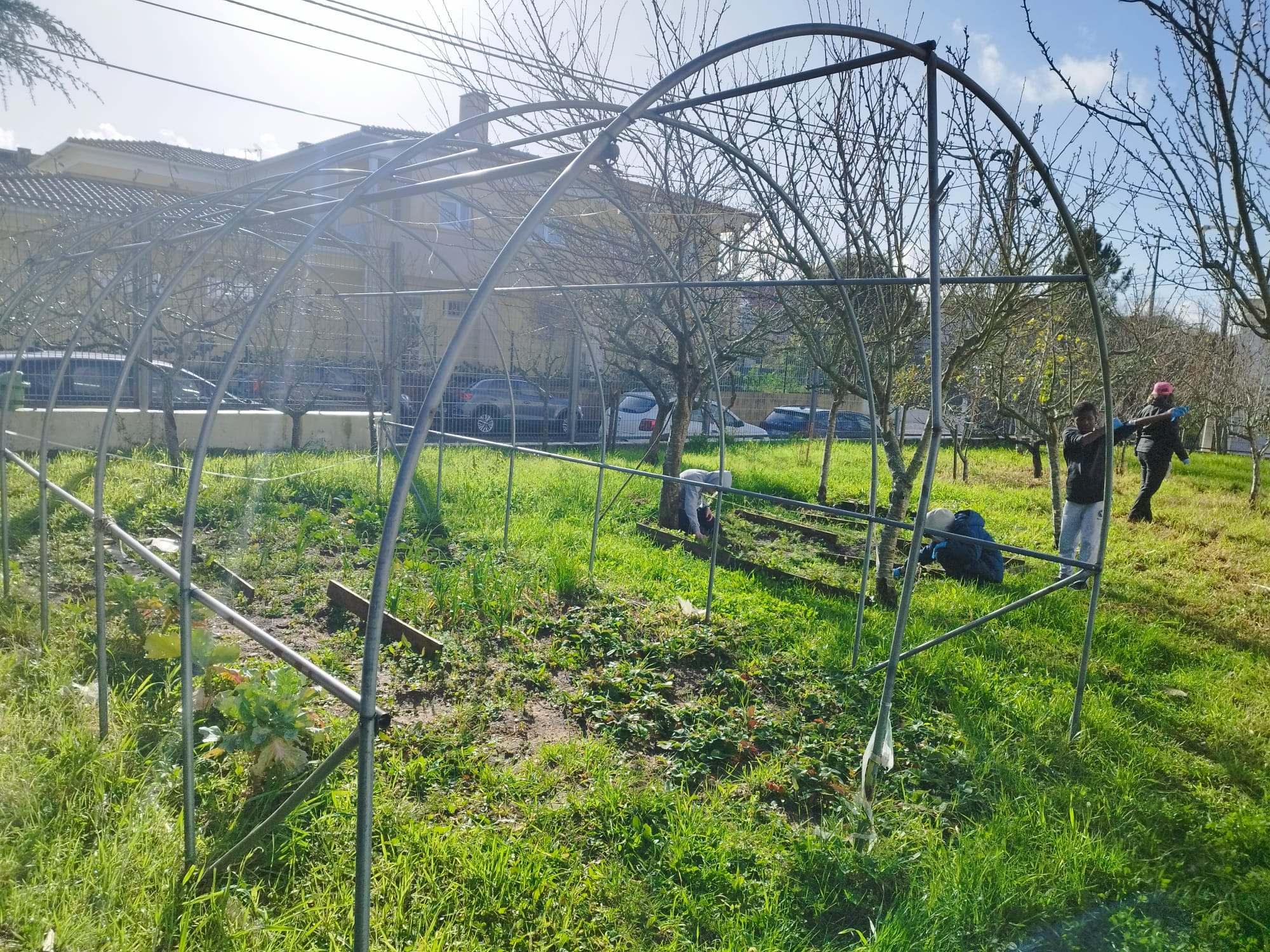 Espaço dedicado à horta