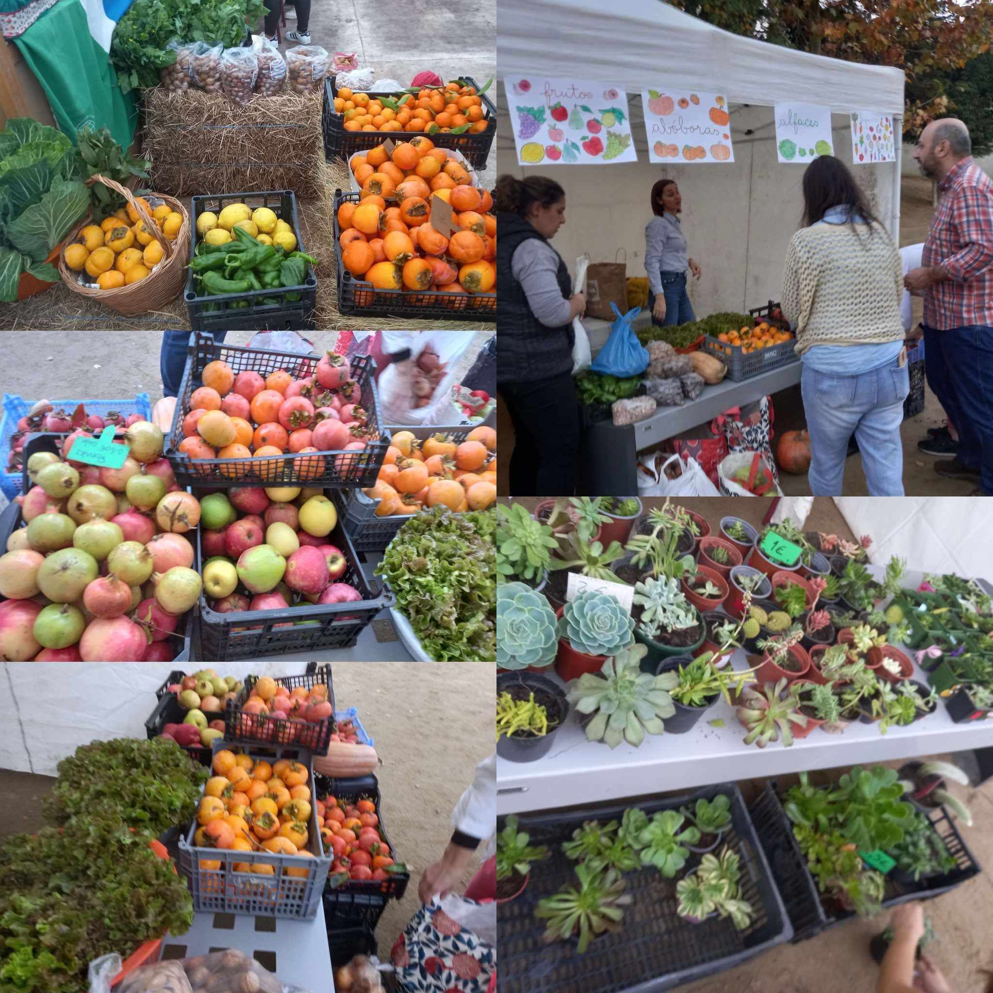 Feiras de produtos biológicos