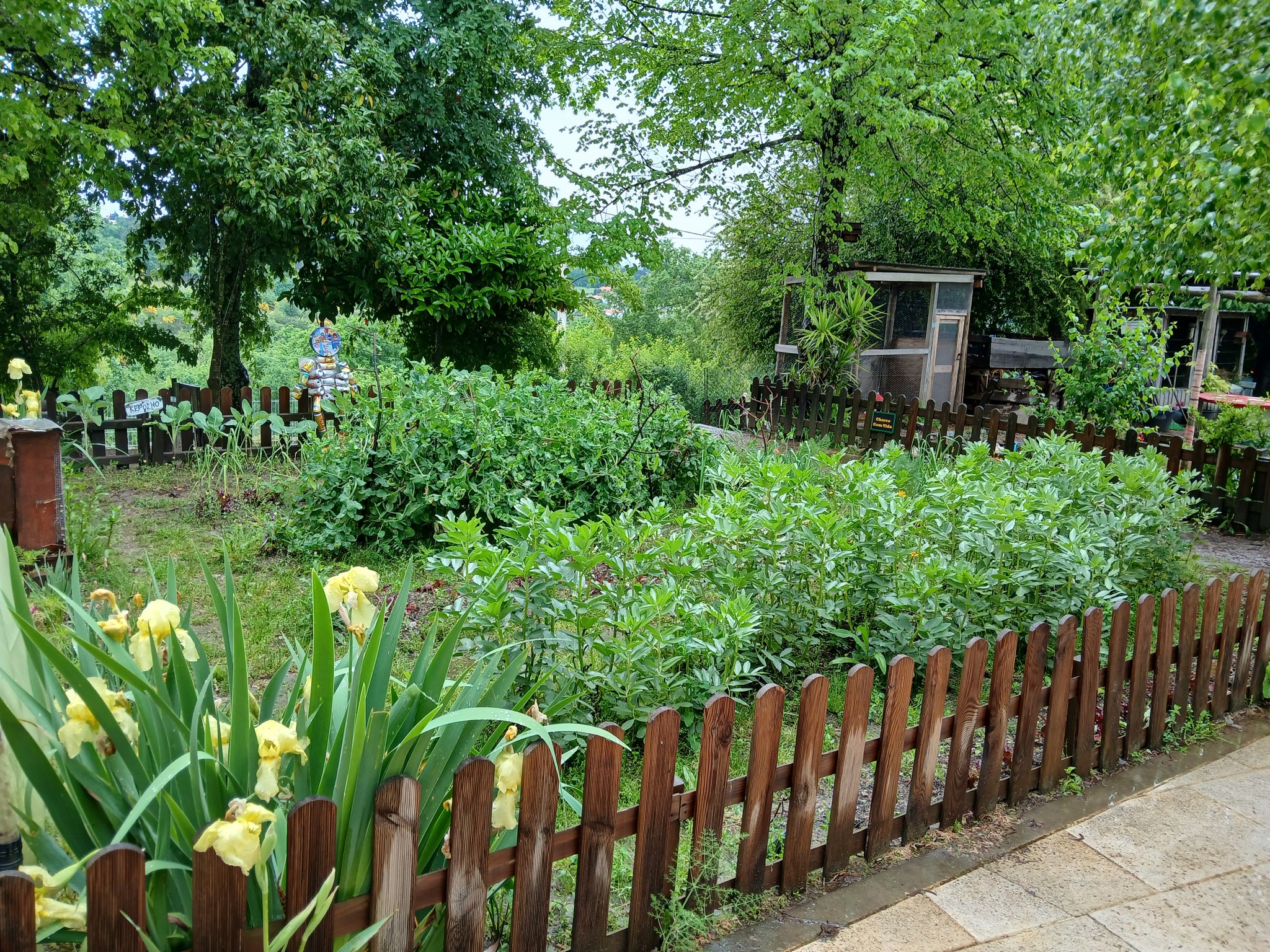 Horta da Primavera