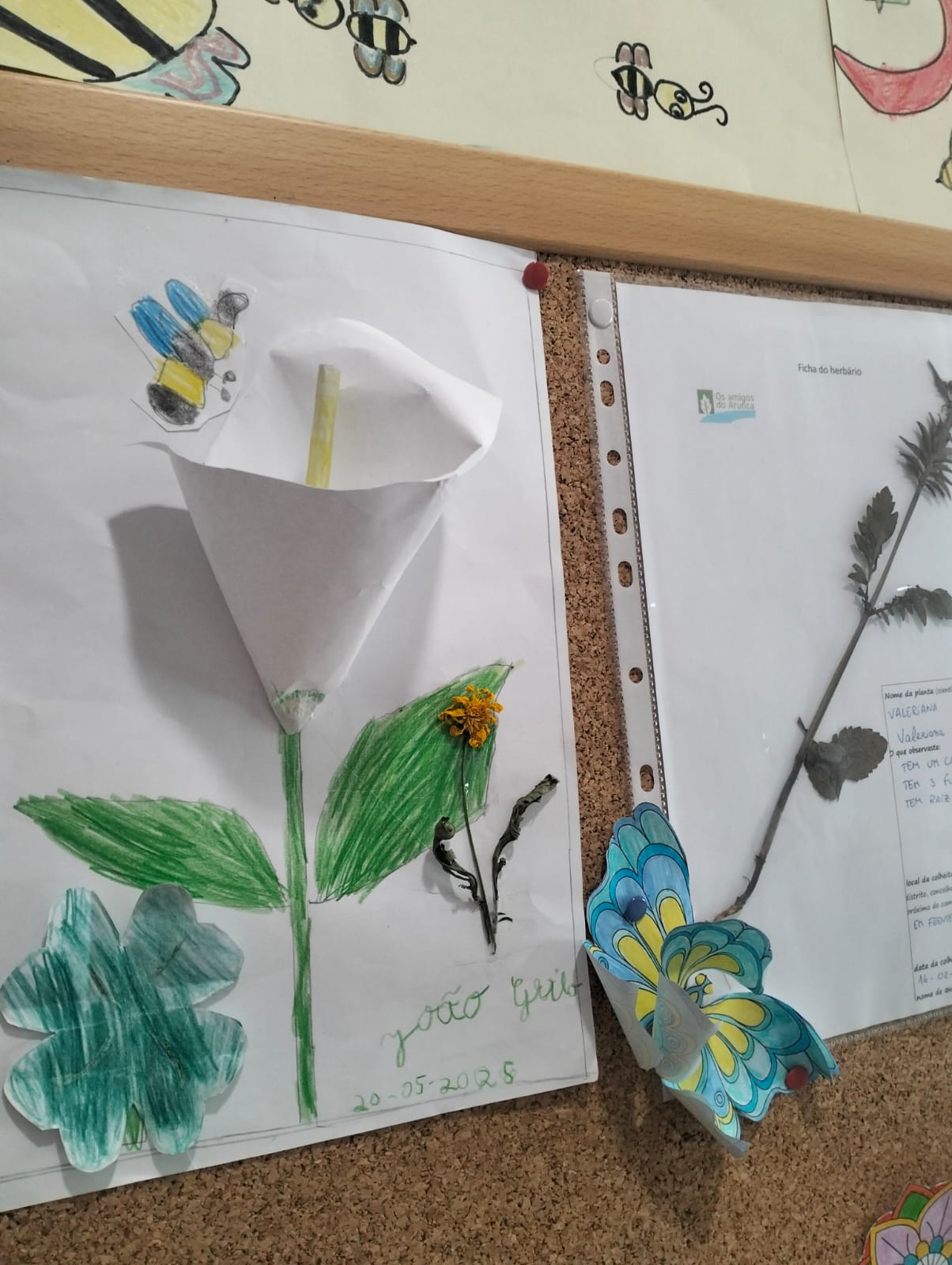 Exposição dos Jardins Polinizadores