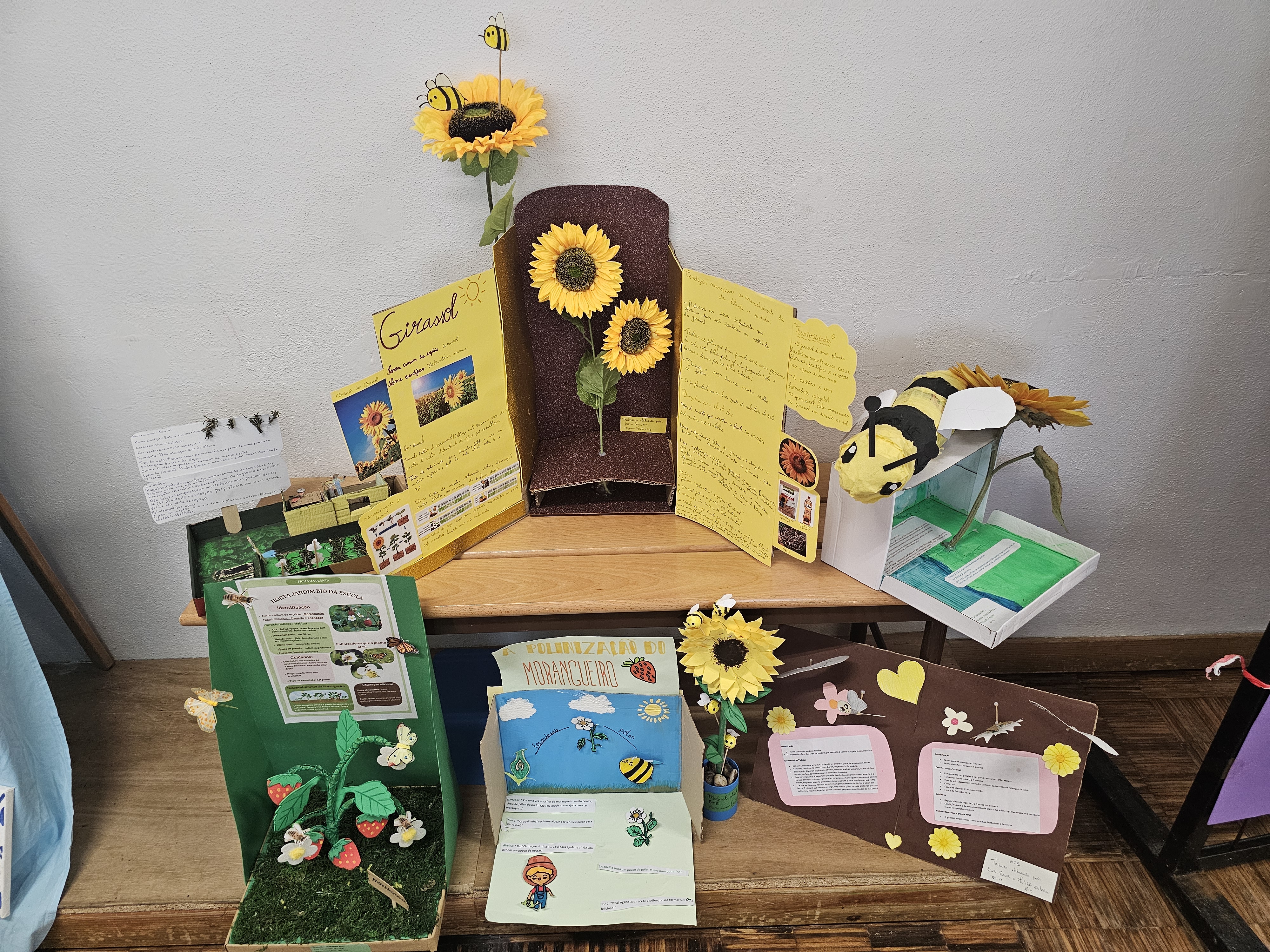 Maquetes ilustrativas de algumas plantas e flores da Horta Jardim BIO, detalhando as suas características, os polinizadores que atraem e a sua importância na preservação da biodiversidade.