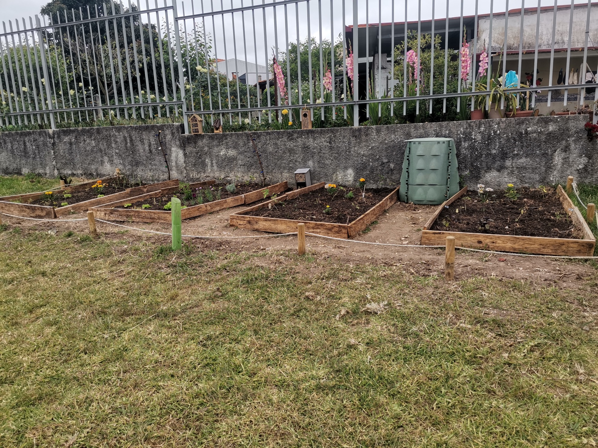 Vista geral, com plantas potenciadoras de polinização, hotéis de insetos e bebedouro para polinizadores. A exposição de hotéis estava a ser montada, mas ainda não concluída.