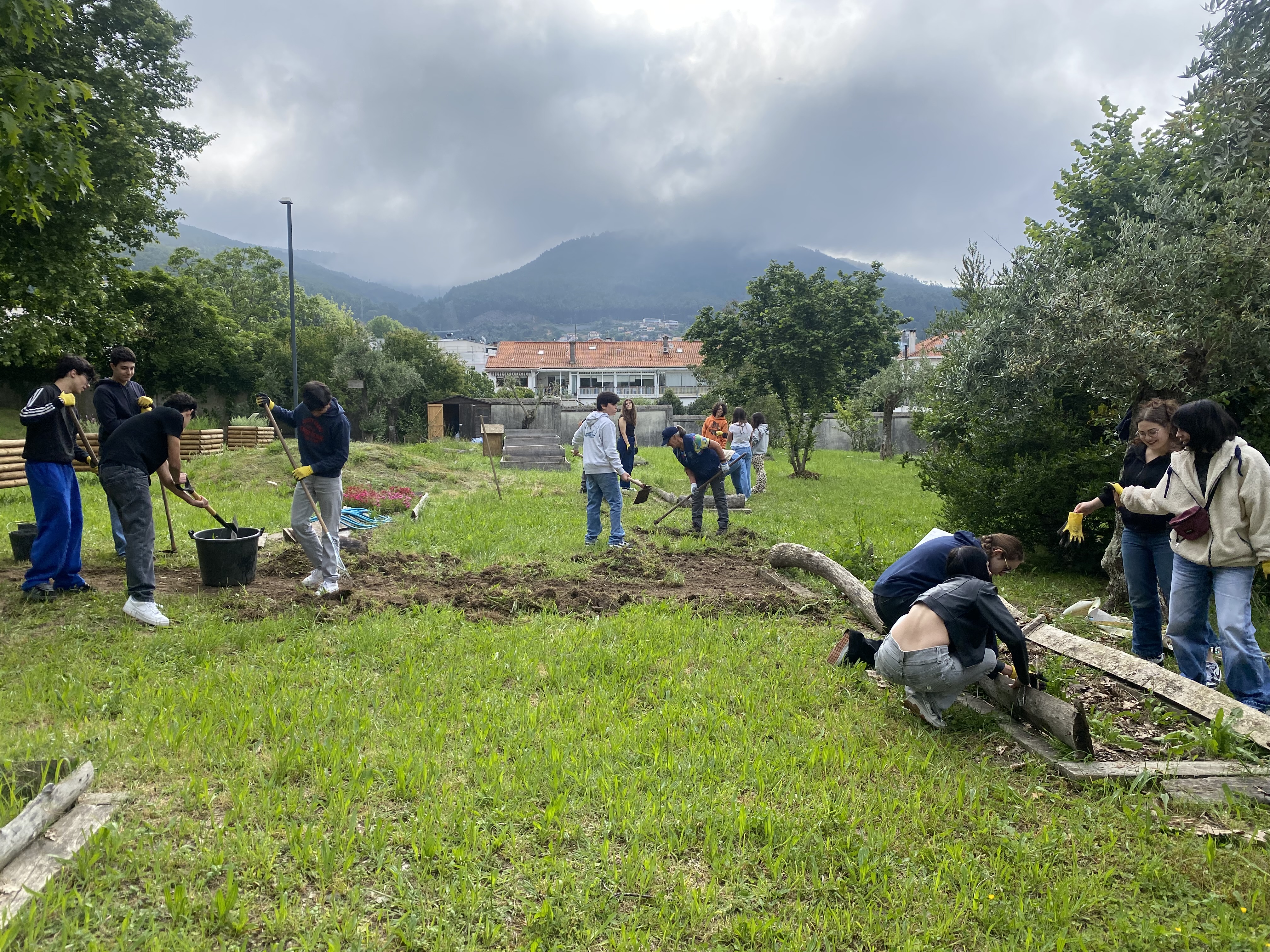 Caminho a surgir - raspagem de ervas ao longo do percurso