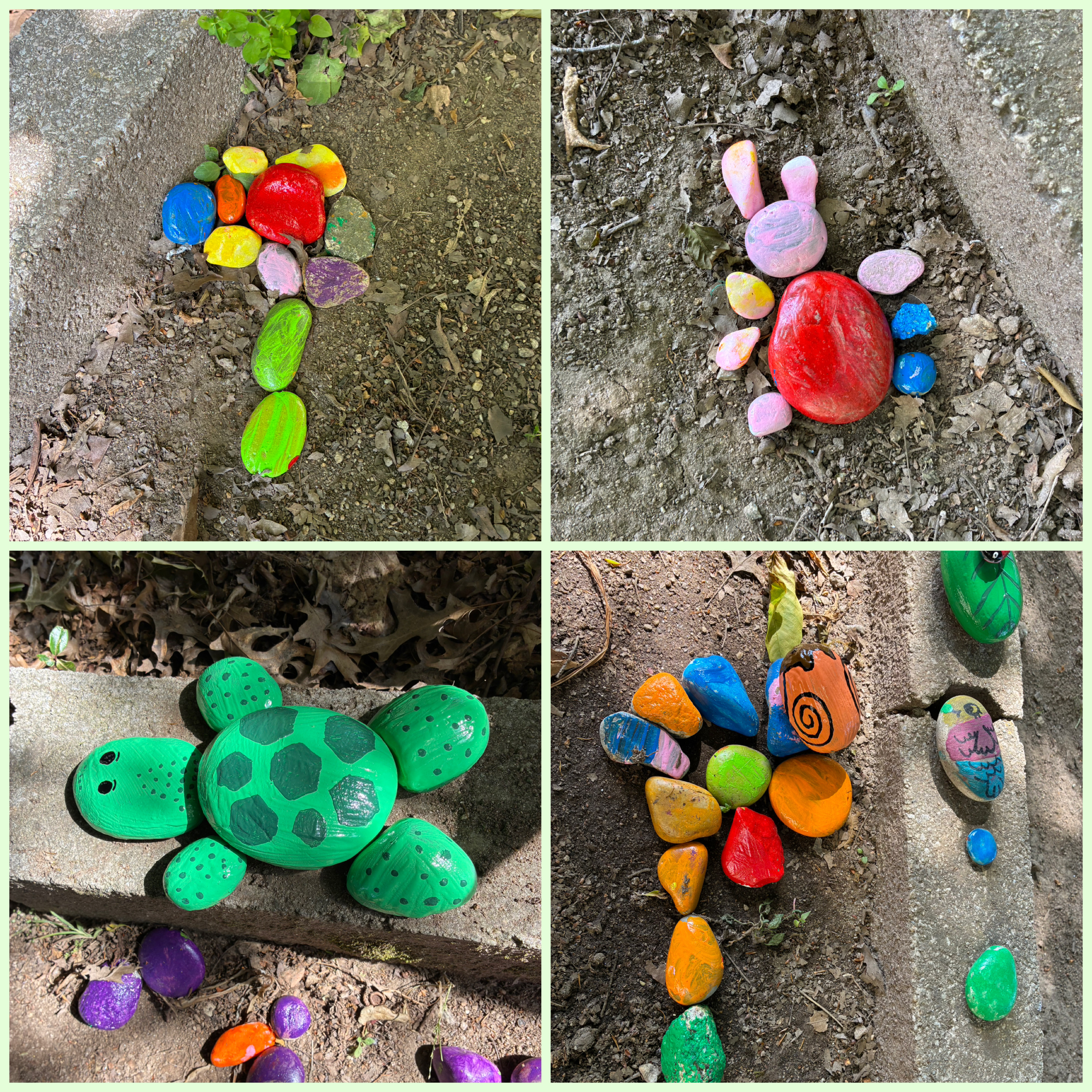 Diferentes composições com os seixos, como flores, tartaruga e flores.