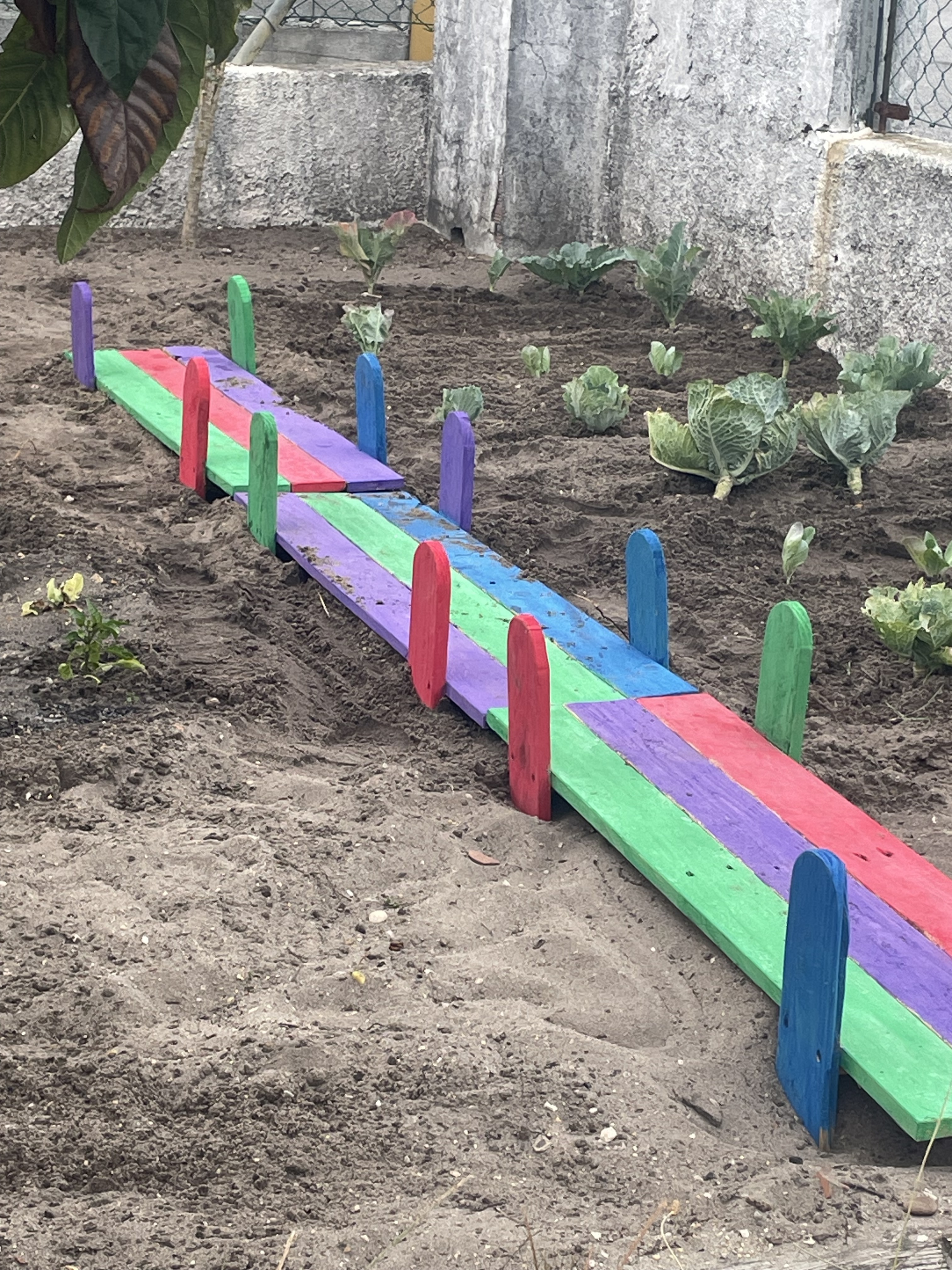Caminho colorido