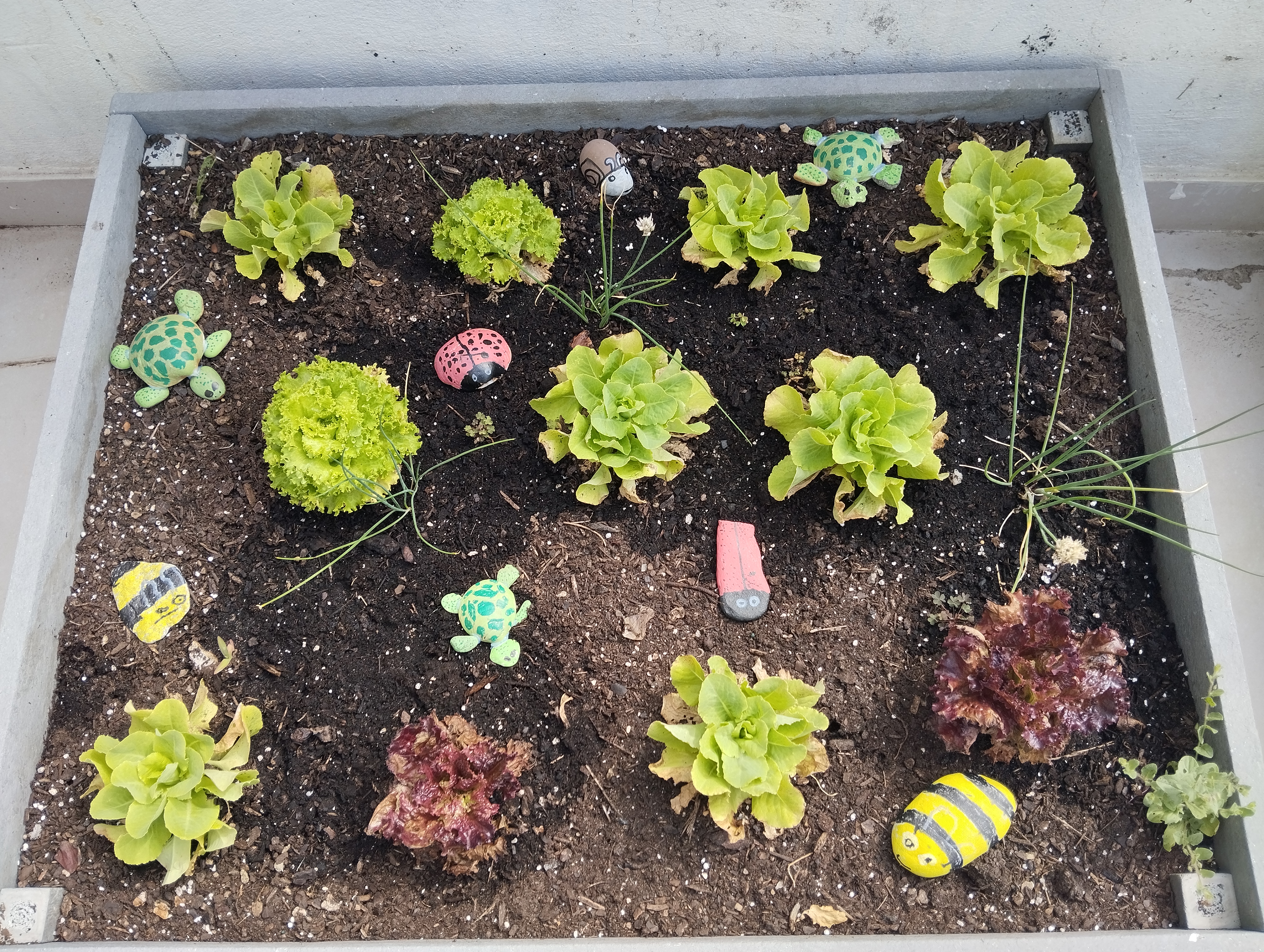 canteiro da horta após a decoração