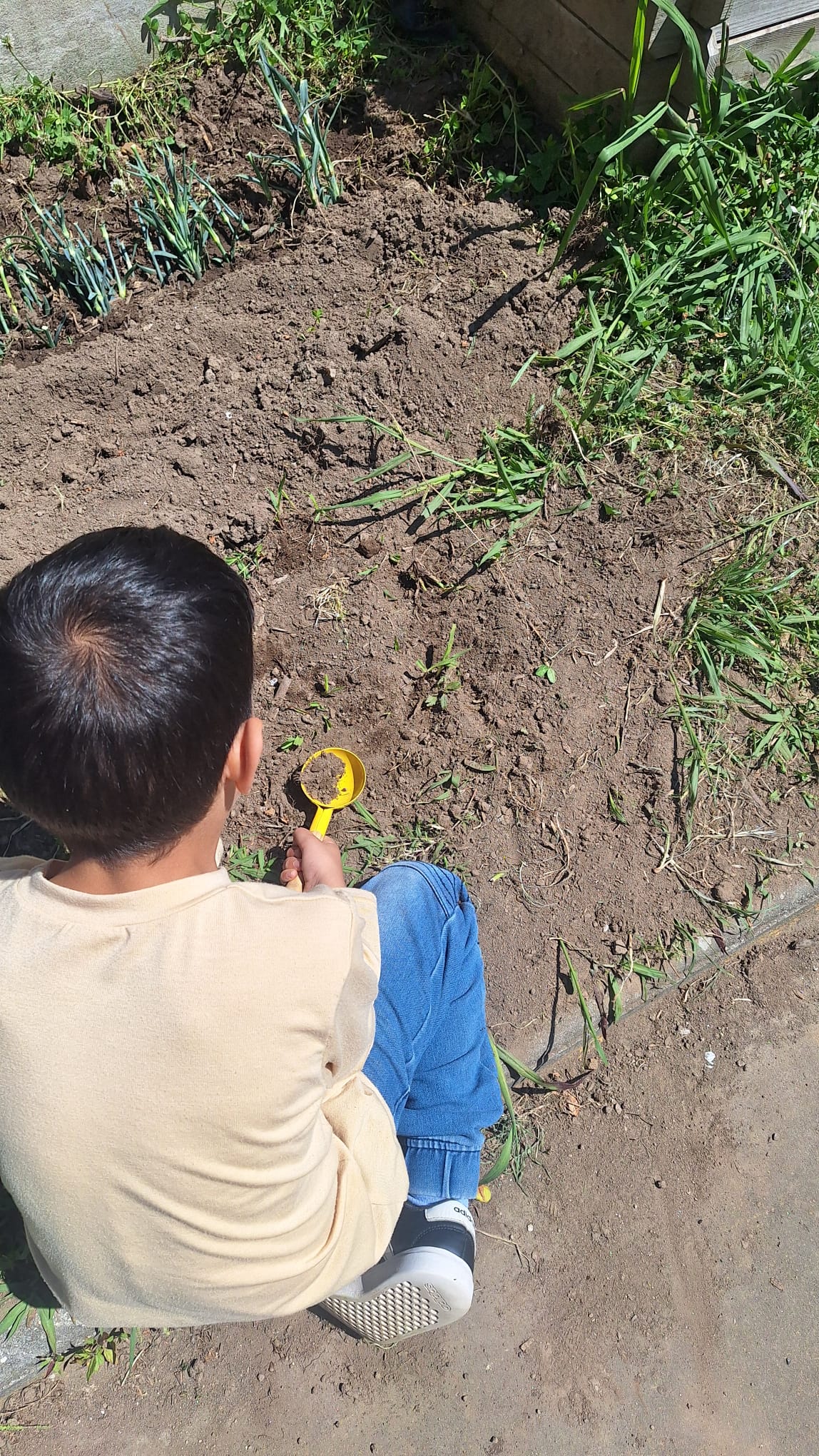 Manutenção dos caminhos da horta pelos alunos1