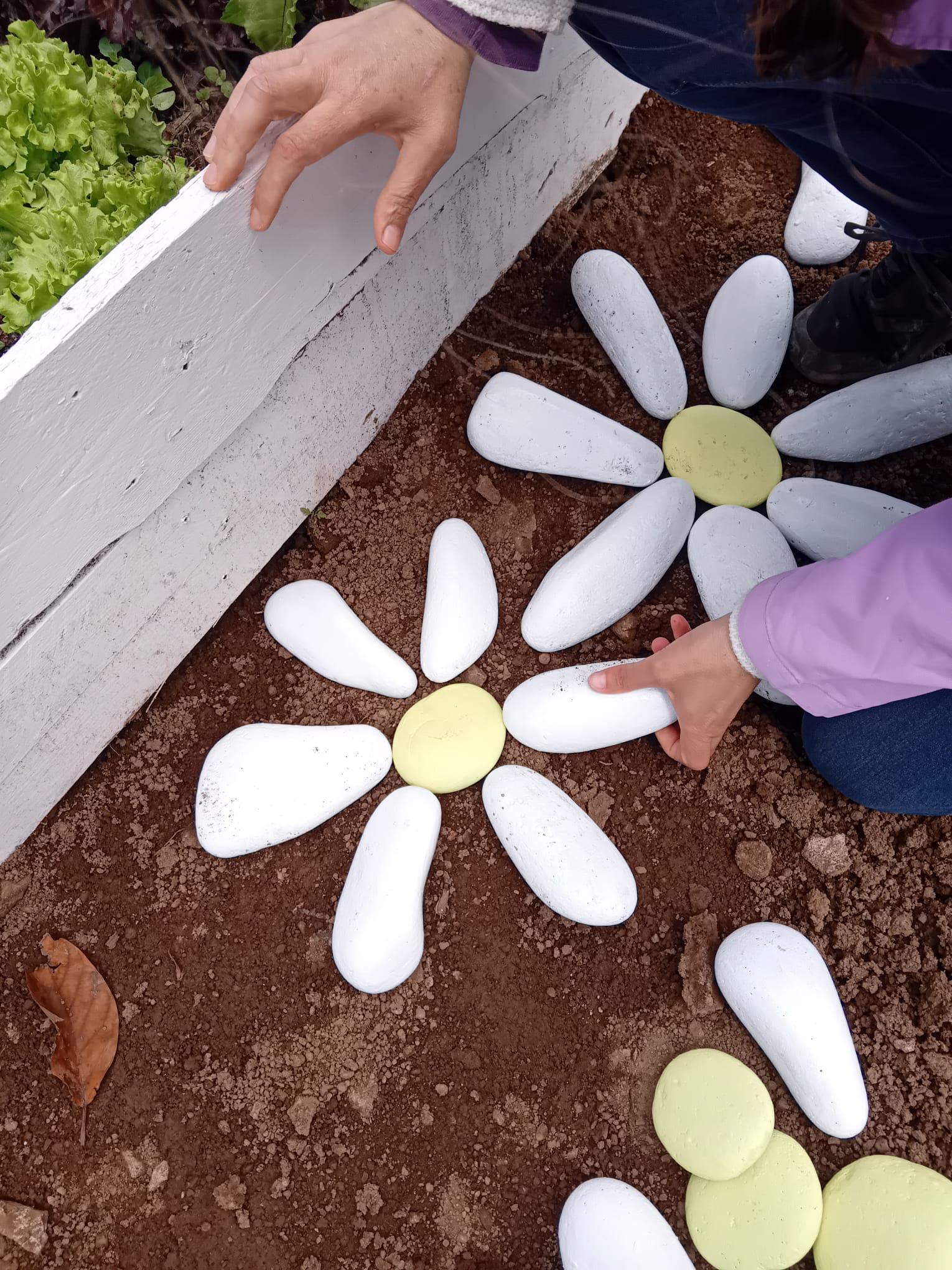 colocação de pedras pintadas de forma a criar flores/margaridas