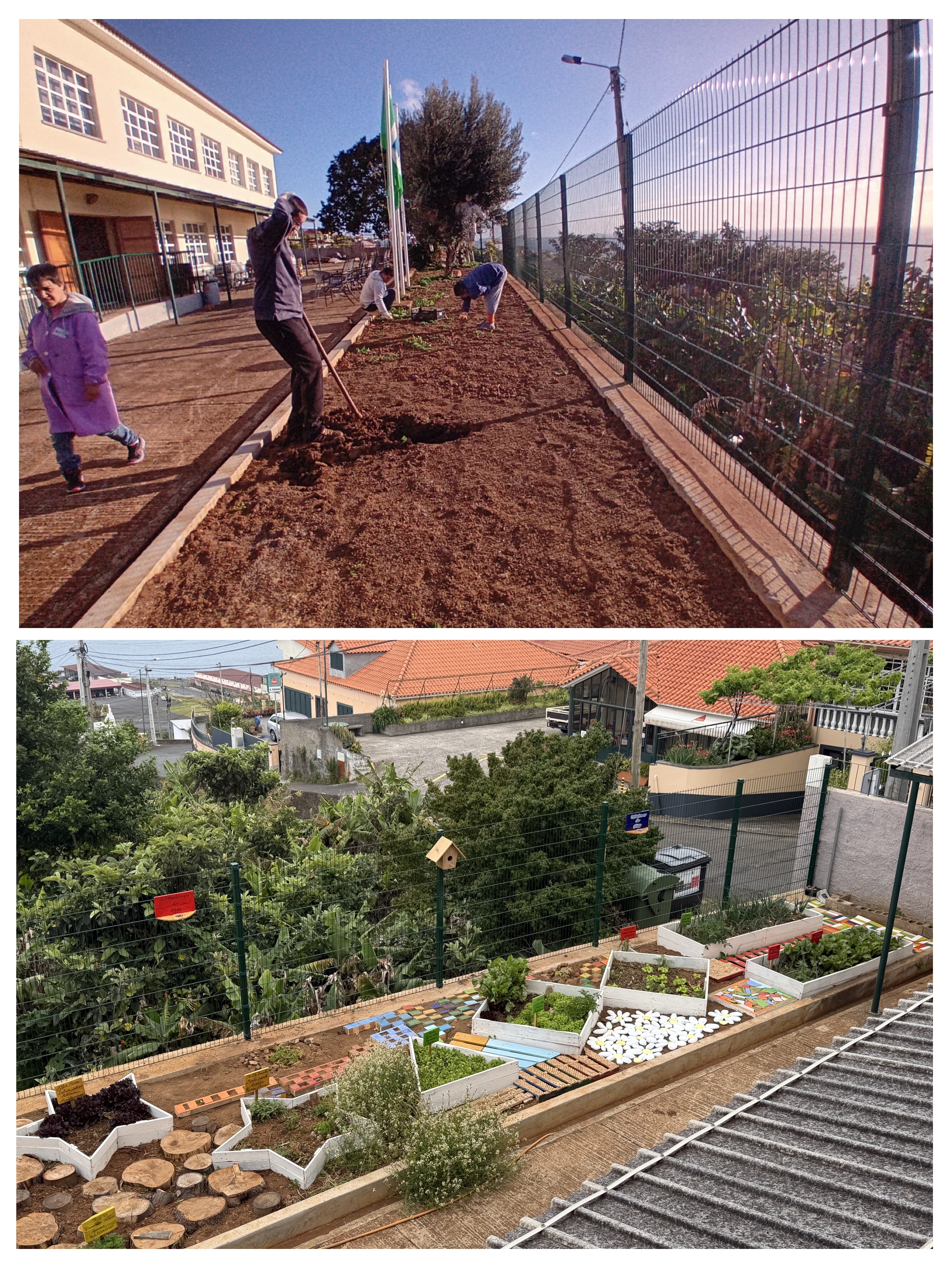 Antes e depois da horta/caminhos coloridos