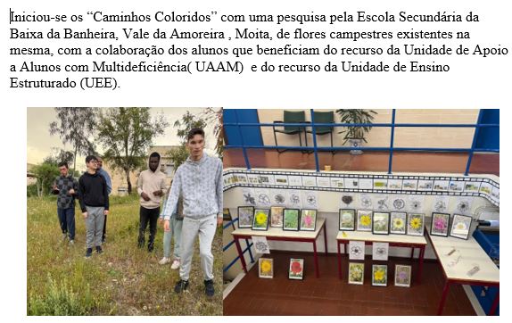 Iniciou-se os “Caminhos Coloridos” com uma pesquisa pela ESBB, de flores campestres existentes na mesma, com a colaboração dos alunos que beneficiam do recurso da Unidade de Apoio a Alunos com Multideficiência (UAAM) e do recurso da UEE.