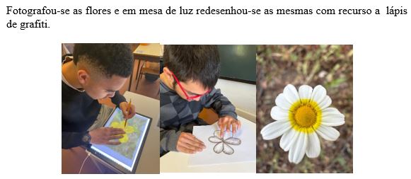 Fotografou-se as flores e em mesa de luz redesenhou-se as mesmas com recurso a  lápis de grafiti.
