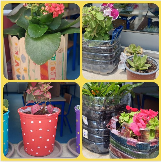Vasos coloridos com plantas e decorados. expostos nos peitoris das janelas e na rede/gradeamento da escola.