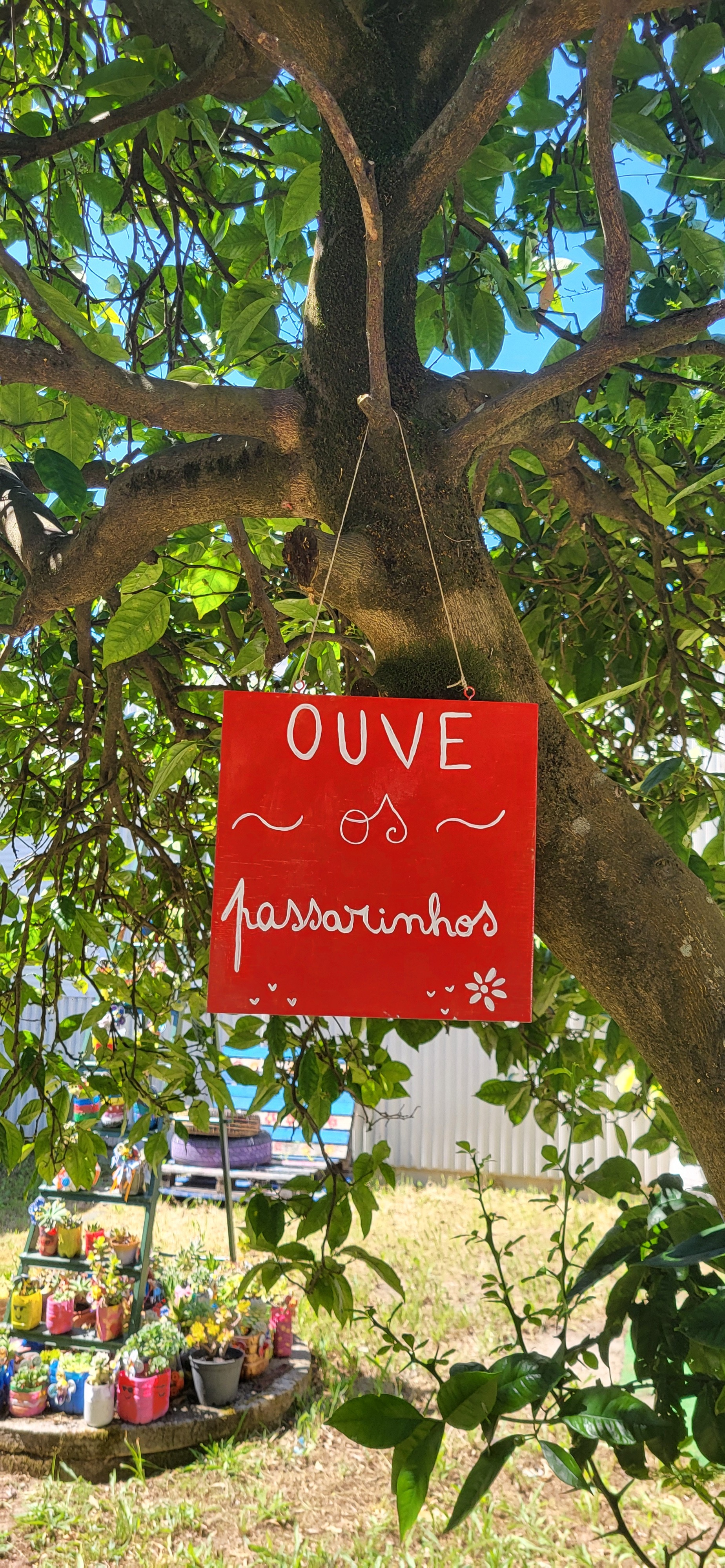 placa sensorial