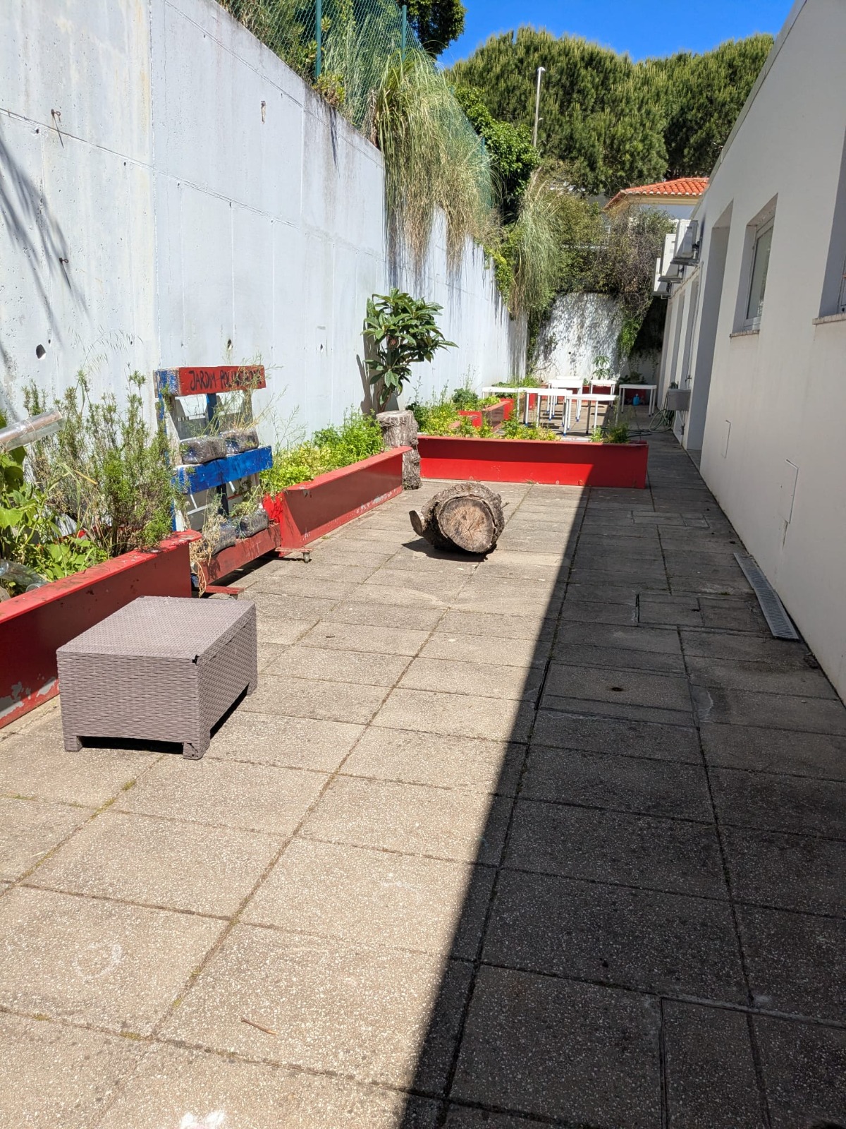 Caminhos sem cor