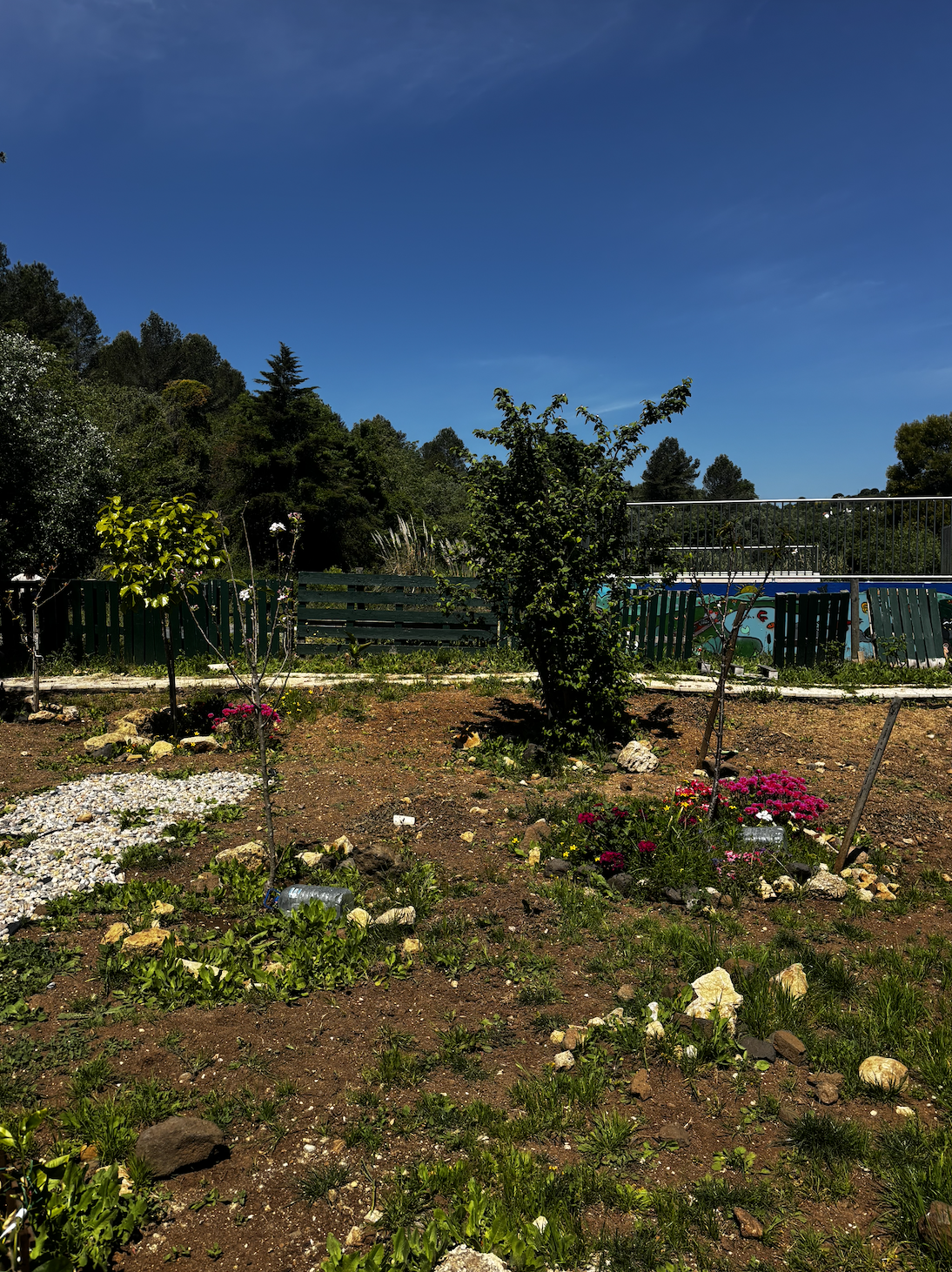 Creating the Soulful Garden — a space of celebrate those who died with fruit trees to make it colourful and where nature tells stories and memories continue to grow.
