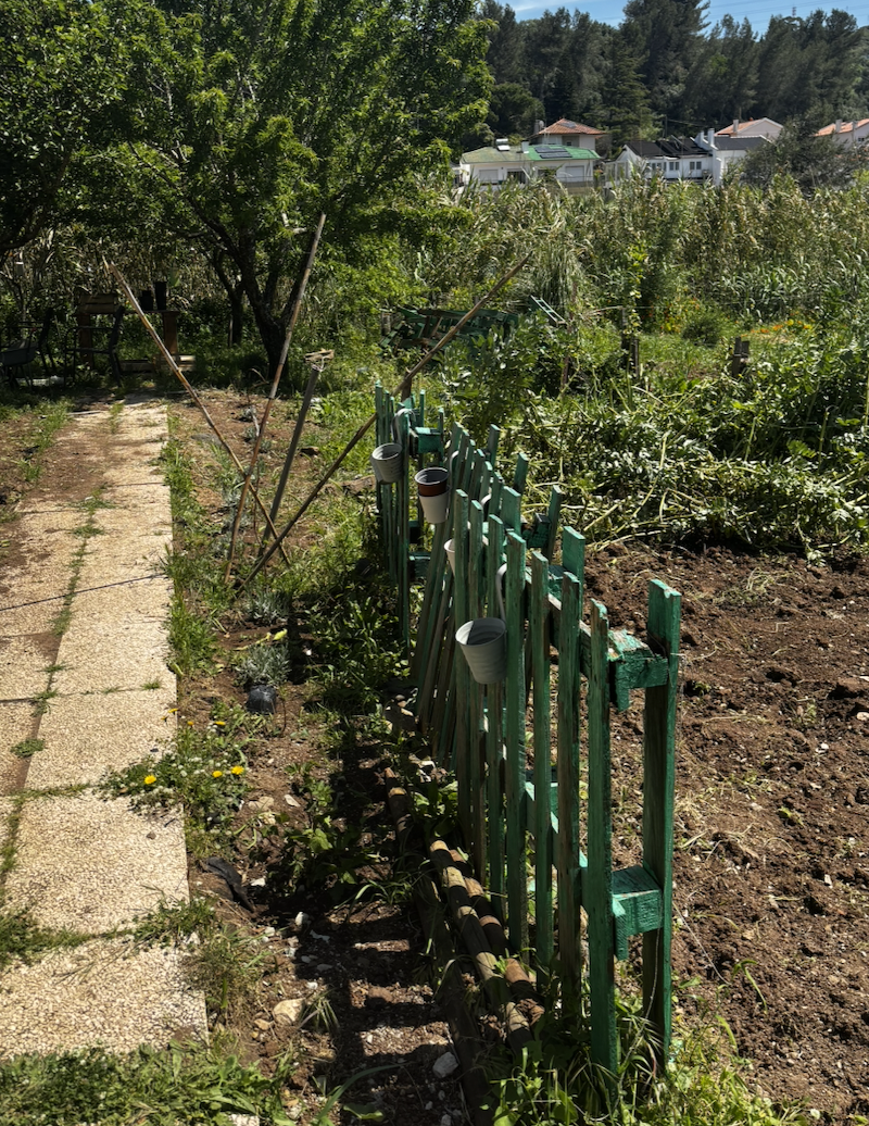 Transforming fences into living green walls 
Replacing metal boundaries with bushes and plants to bring nature closer and create a softer, more welcoming space