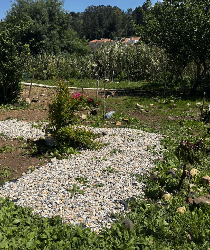 Step by step, we are turning this space into a natural sanctuary that honors the past and nurtures the future.