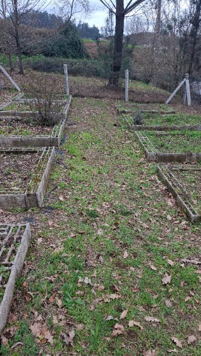 Horta - antes