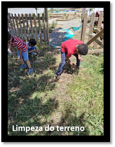 Limpeza do terreno