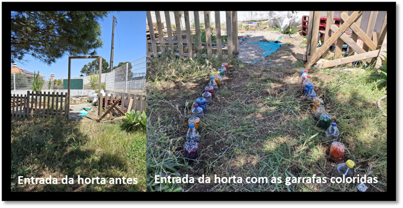 Entrada da horta antes e depois