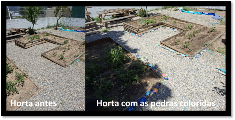 Horta antes e depois