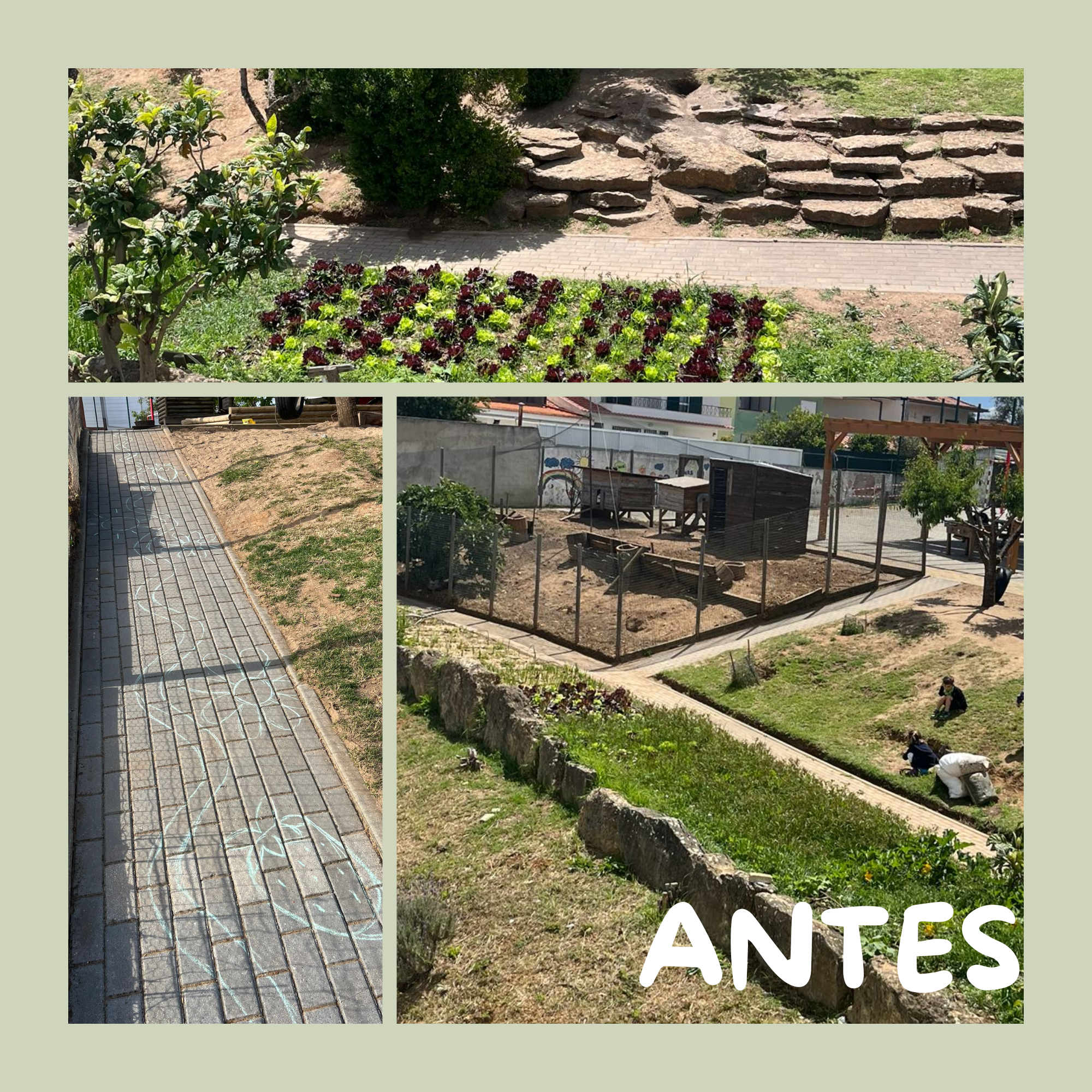 Antes – Estado inicial do caminho em pedra, antes da intervenção realizada no âmbito do projeto.