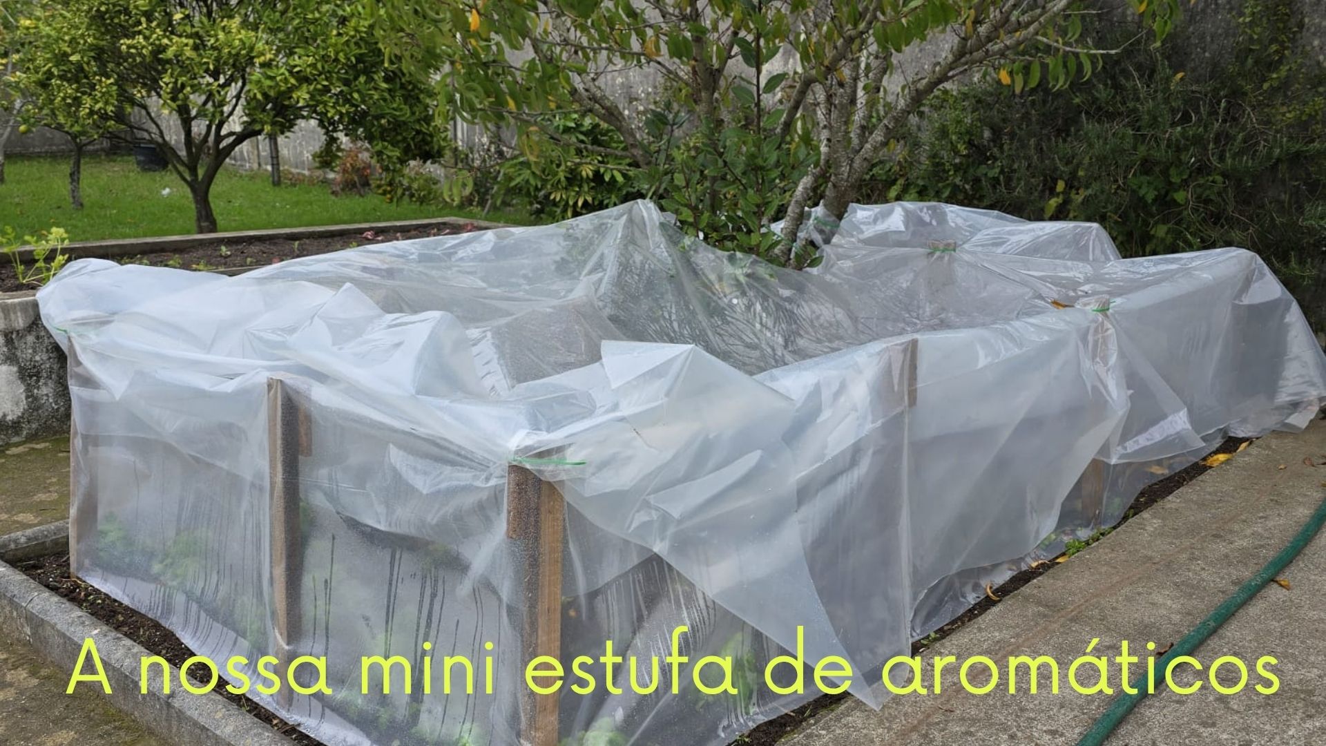 Construção da Mini estufa de aromáticos
