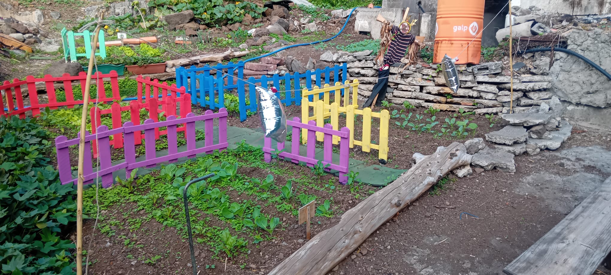 Cada cor, uma história: hortas organizadas por cercas vibrantes acolhem legumes e verduras em crescimento saudável.