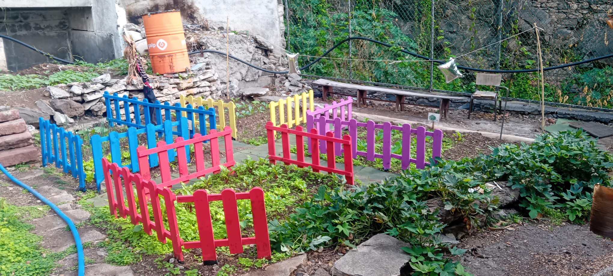 Cada cor, uma história: hortas organizadas por cercas vibrantes acolhem legumes e verduras em crescimento saudável.