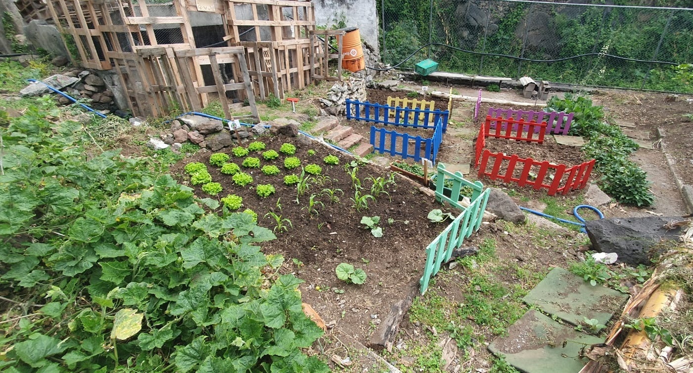No cantinho da escola a terra a florescer, cores que abraçam a horta e a fazem crescer.