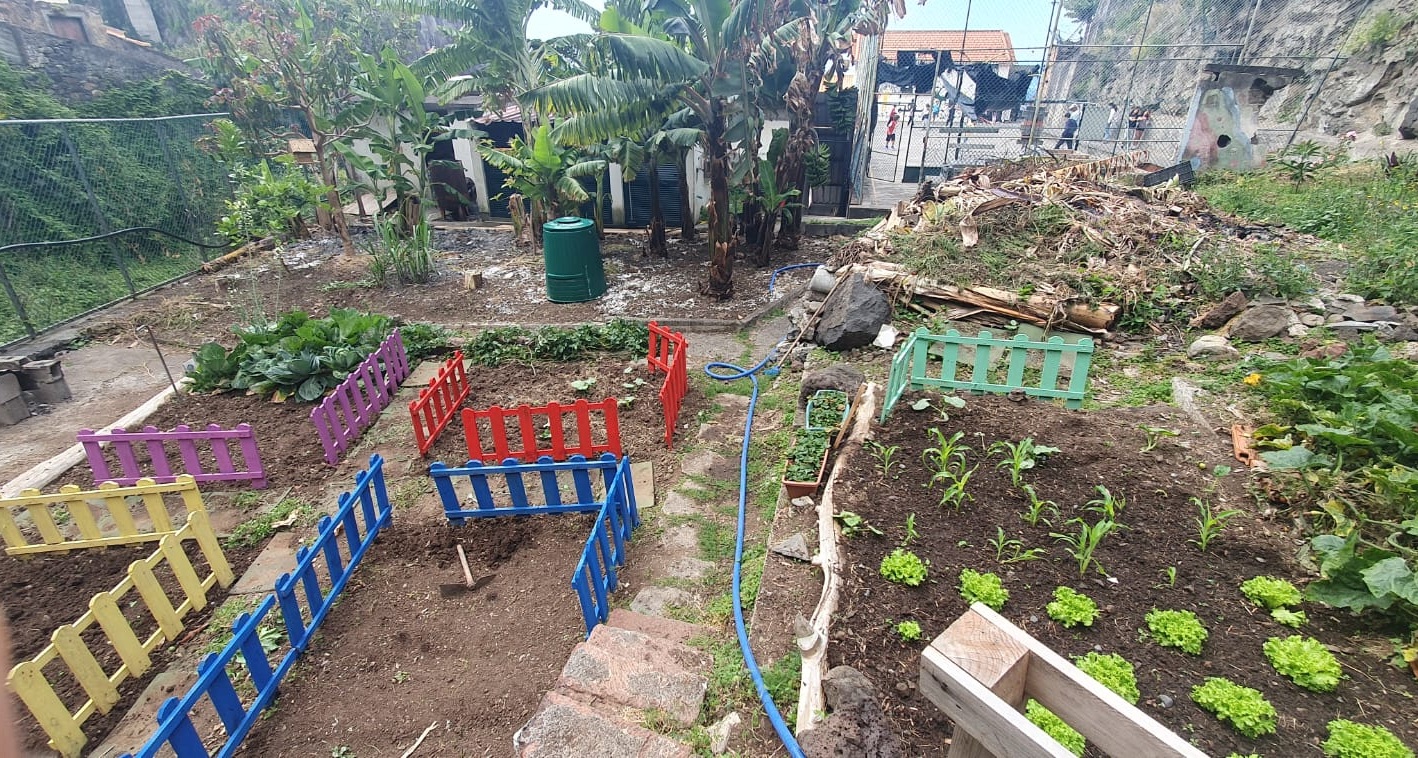 Plano mais alargado da horta que espera por novas culturas!
